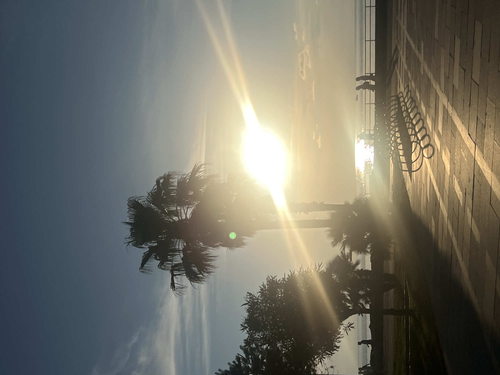 The image depicts a seaside promenade in Batumi, Georgia, during sunset. The sun is prominently visible, creating a strong glare and lens flare across the scene, casting long shadows on the patterned pavement. Silhouetted palm trees and other foliage line the promenade. In the foreground, a row of empty, curved benches is visible, casting circular shadows. Further back, a railing separates the promenade from the sea. Two figures are silhouetted against the water, appearing to be walking. In the background, a few boats are visible on the calm sea, and the sky is a clear blue with wispy clouds. The overall atmosphere is serene and evokes a sense of a peaceful evening by the coast.