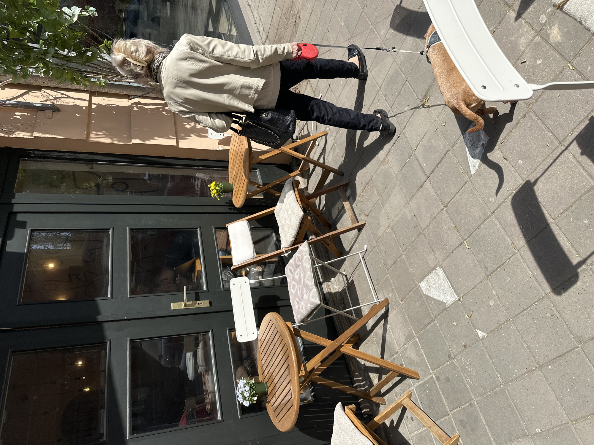 An outdoor cafe scene in Novi Sad, Serbia, shows a woman walking a dog past tables and chairs arranged outside a building with a dark green door. The woman is wearing a light-colored jacket, black pants, and black shoes, carrying a black purse. She is holding a red retractable dog leash. The dog, light brown in color, is walking to her right, partially obstructed by a white cafe table. Four wooden tables with folding chairs surround the entrance; one of the tables is round, the others are rectangular. Small flower arrangements adorn the round table and one of the rectangular tables. The ground is paved with square gray stones. Sunlight casts sharp shadows, particularly from the table near the dog. The building appears to be commercial, with reflections of interior lighting visible through the door’s windows.