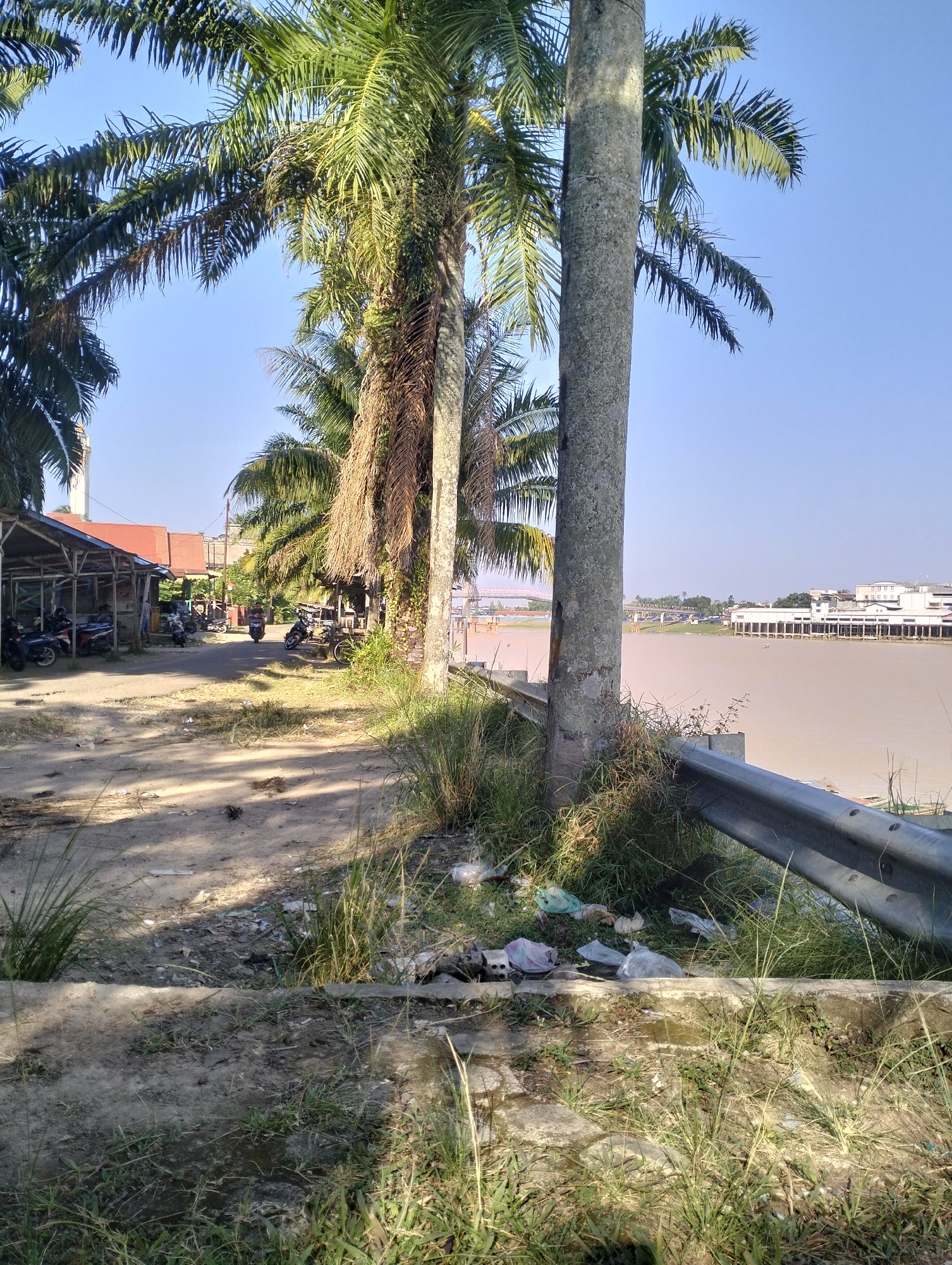 The image depicts a sunlit scene along the Batanghari River in Jambi City, Indonesia. In the foreground, dry grass and scattered litter are visible, including plastic bags and wrappers, near a grey metal guardrail. Several palm trees line the right side of the scene, with their fronds reaching towards the clear blue sky.
To the left, a dirt road leads past several small, open-air structures with corrugated metal roofs, appearing to be informal stalls or shelters. Parked motorcycles are visible under these structures, suggesting a local marketplace or transportation hub. A few people are present, some standing near the stalls and others near the motorcycles, though their actions are not clearly discernible.
Further down the road, a single motorcycle is in motion, with a rider. In the background, across the wide, muddy Batanghari River, a long white building complex with a pier extends along the riverbank, and a bridge can be seen in the distance. The overall impression is one of a semi-urban, riverside environment under bright daylight.
