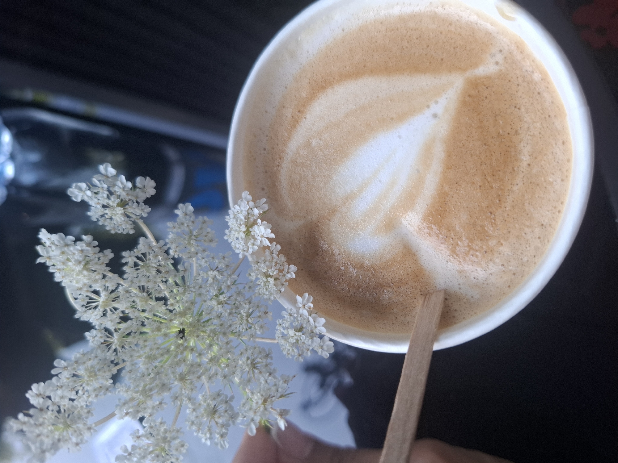 A close-up, overhead shot captures a paper cup filled with latte art. The latte art features a heart shape with creamy brown foam. A small, dark insect is perched on a cluster of delicate white flowers in the upper left quadrant of the image. A wooden stirrer is inserted into the coffee. The background is dark and out of focus, with hints of a reflective surface and dark, vertical lines. The overall scene appears to be set outdoors, possibly in a cafe with a view of some greenery or a park.