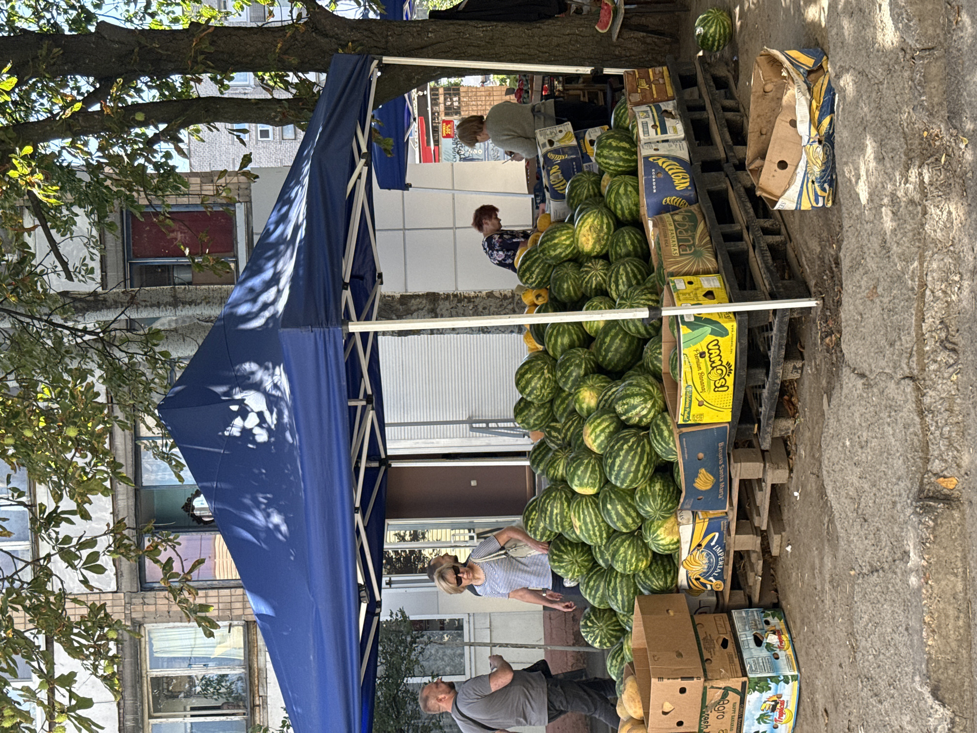 An outdoor market stall, likely in Zaporizhzhia, Ukraine, is depicted with a blue canopy set up under trees. A large quantity of watermelons is displayed on wooden pallets and in boxes. Several people are visible: a man with a gray t-shirt and black bag walks away from the camera, a woman in a striped t-shirt and sunglasses browses the watermelons, and two women are seen working behind the stall. Boxes of bananas are also present. The ground is paved with concrete and shows signs of wear. A single watermelon lies on the ground near the edge of the stall. The background features a multi-story building with visible windows, some of which are partially open.