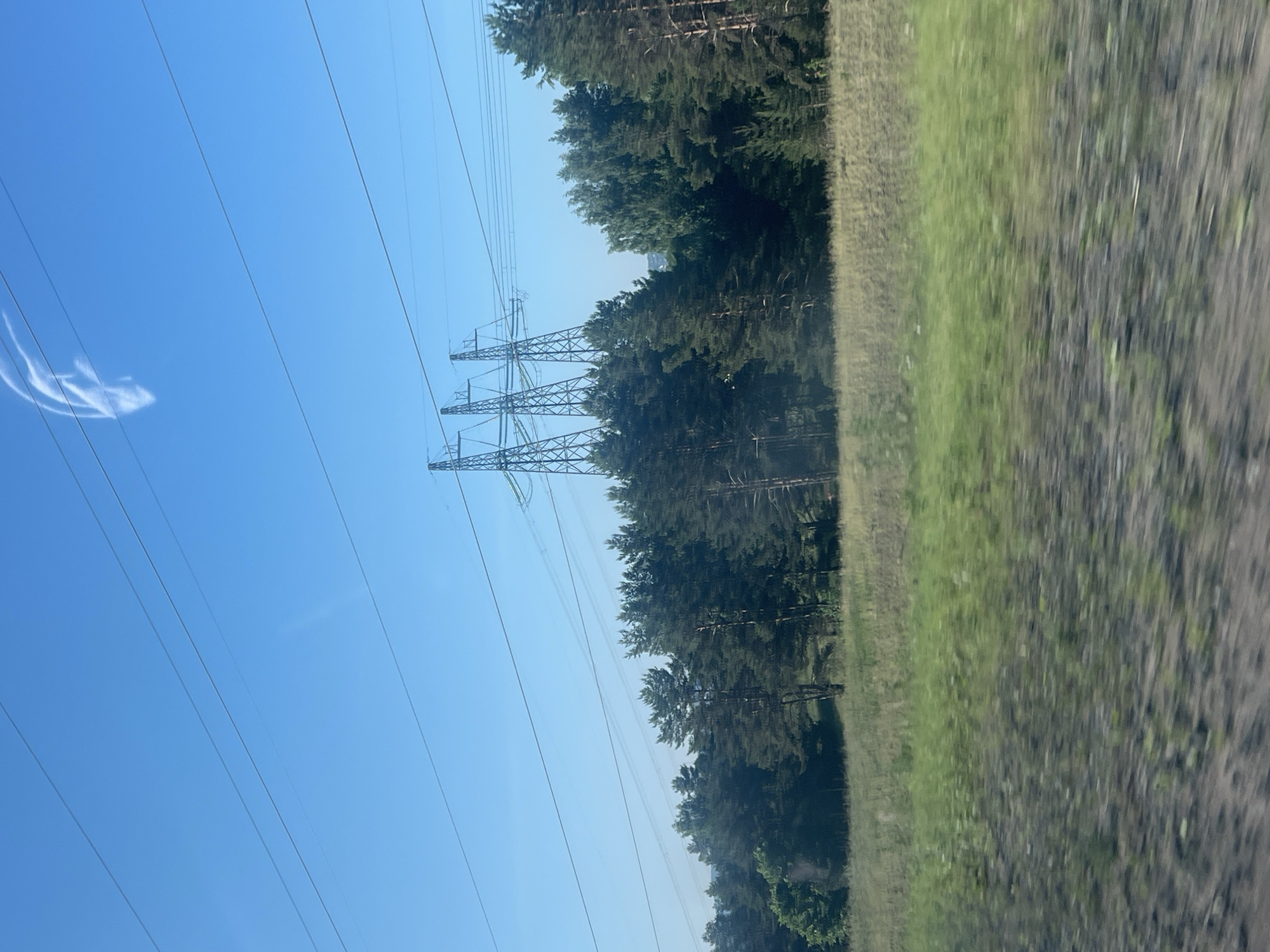 The image depicts a landscape scene with a bright blue sky and a line of tall pine trees in the middle ground. Three large transmission towers with power lines stretching across the sky are visible above the trees. In the foreground, a blurry grassy field suggests the photo was taken from a moving vehicle. A wispy white cloud formation is present in the upper right quadrant of the sky. The scene is consistent with the rural or semi-rural outskirts of Noviy, Russia, characterized by open terrain and infrastructure.