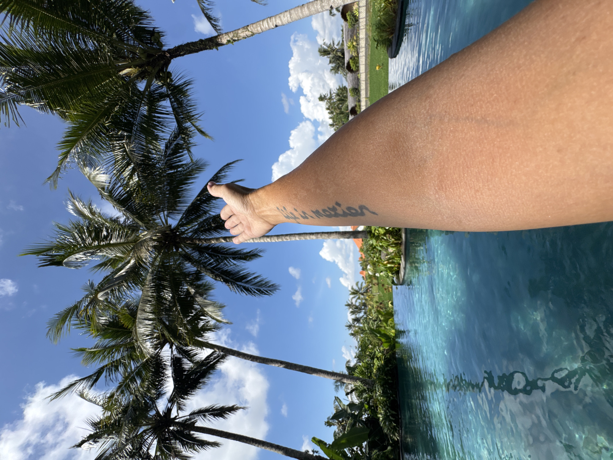 A horizontal medium shot captures a scene in Peliatan, Indonesia. An arm extends towards palm trees set against a blue sky with white clouds. The presence of a pool of water and lush vegetation suggests a tropical environment. The person's forearm bears a visible tattoo.
