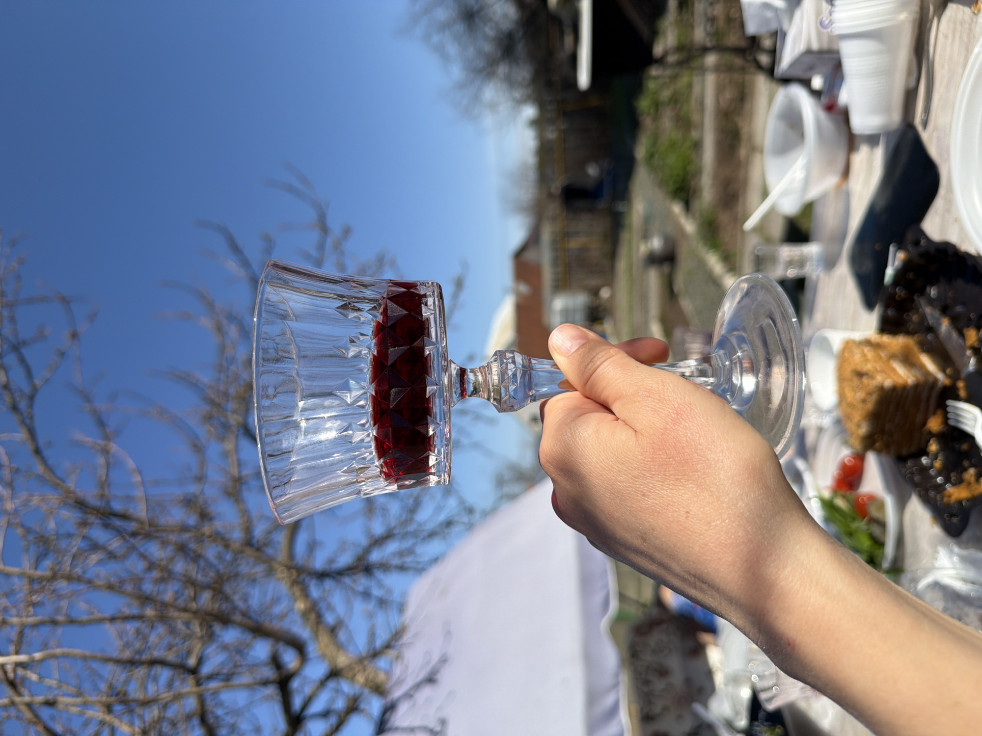 The image shows a hand holding a glass of red wine against a blue sky with bare tree branches. A table with food and disposable tableware is visible in the background. The location is Chaikovsky, Russia.