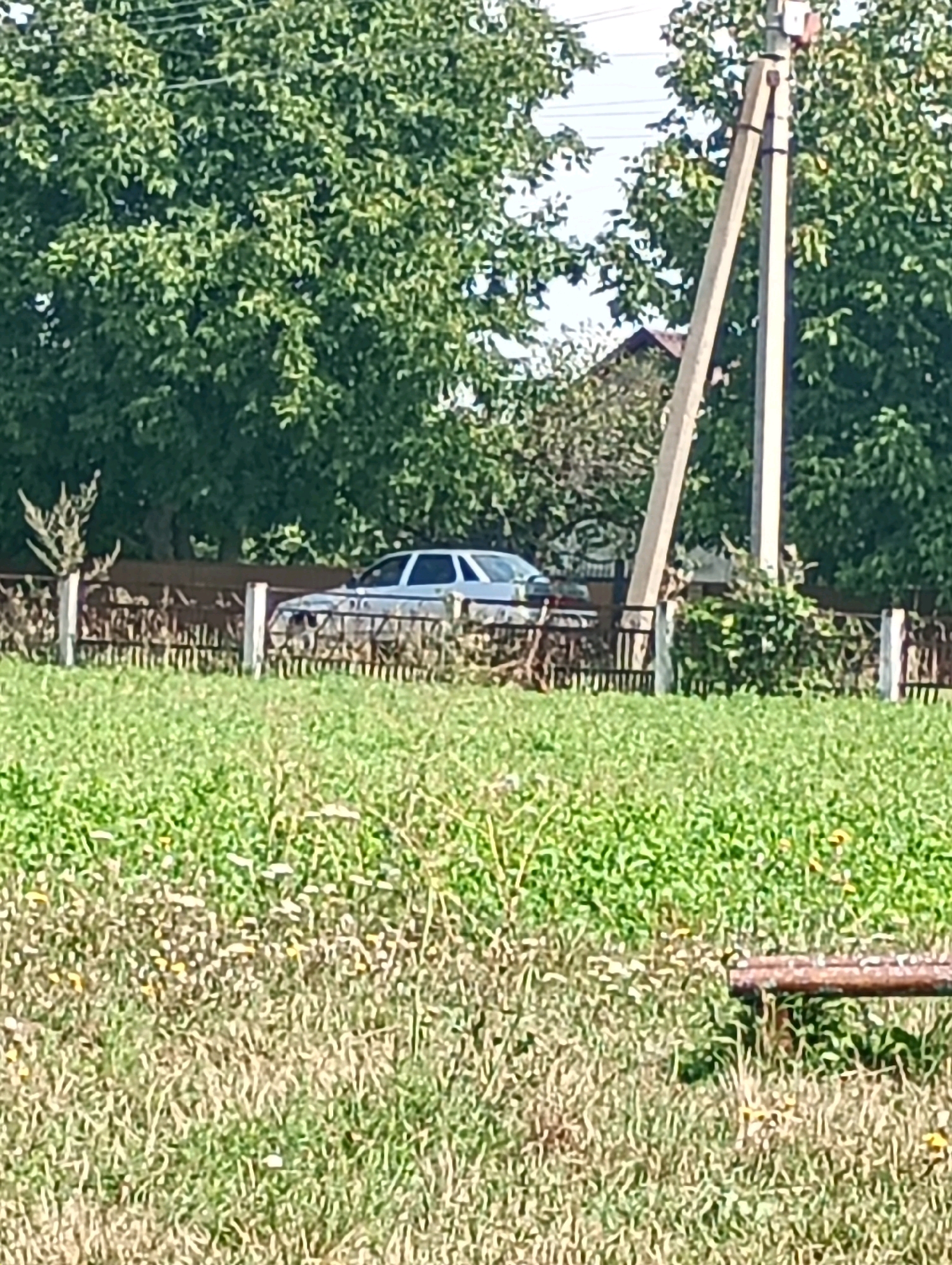 A silver sedan is parked behind a dark metal fence on a sunny day. The car is partially obscured by the fence and is positioned in front of lush green trees. A tall, concrete utility pole stands to the right of the car, also surrounded by greenery. The foreground is a field of dry grass and wildflowers, with a wooden bench visible in the lower right corner. The scene appears to be a residential area in Novooleksiivka, Ukraine.