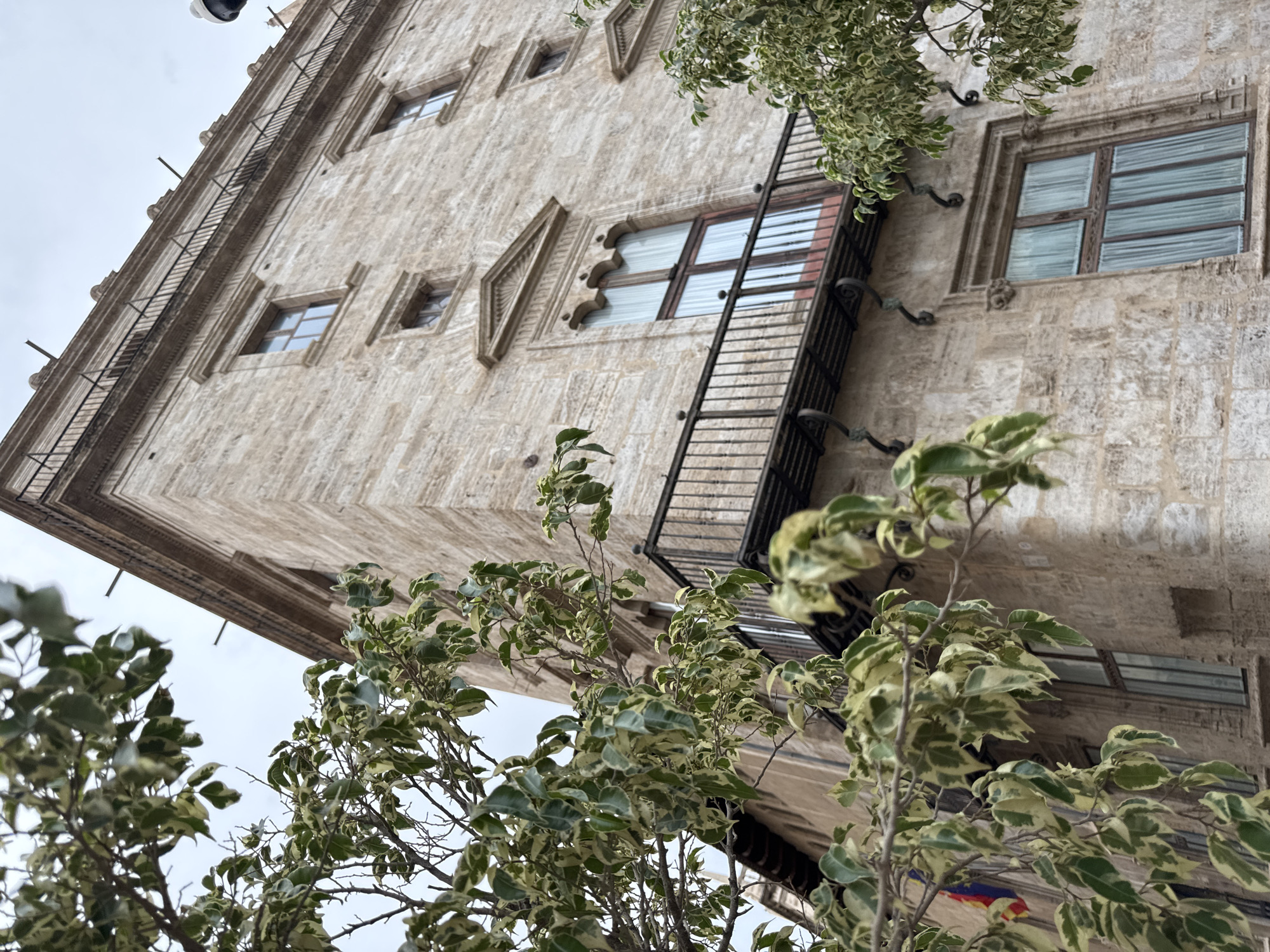The image captures a low-angle view of a historic stone building in Valencia, Spain, partially obscured by the variegated leaves of a Ficus tree in the foreground. The building is constructed from light-colored, textured stone blocks. It features multiple windows with dark frames and white sheer curtains. A wrought-iron balcony with a decorative railing extends across the facade of the upper floors. Architectural details like decorative window surrounds and cornices are visible. A flag with red and yellow stripes and a blue section is partially visible on the left side of the building. The sky is overcast, indicating a cloudy day. The overall scene conveys a sense of historical architecture and urban greenery.