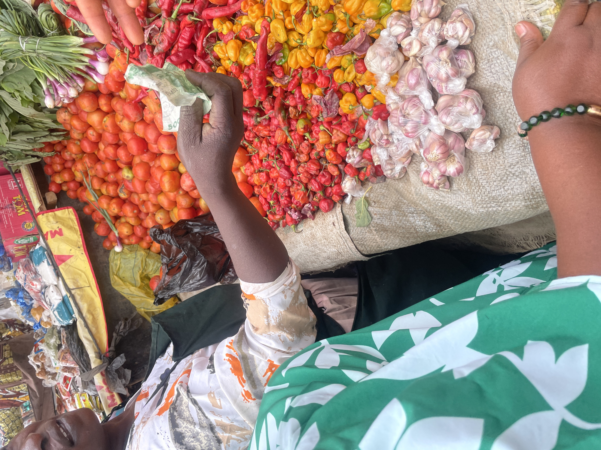 This image depicts a market transaction in Gwong, Nigeria. The scene is dominated by a produce stall displaying a variety of fresh goods on a beige sackcloth. A dark-skinned individual, positioned on the left, is partially visible from the chest up, wearing a white top with orange and dark patterns over a dark green garment. This individual's left hand holds a crumpled green banknote, with the number "500" partially legible. Another dark-skinned hand is visible in the lower right, wearing a dark green beaded bracelet with a single gold-colored bead. A third dark-skinned hand is present in the upper right, extended towards a pile of peppers.
The stall features a large collection of red tomatoes, several bunches of green leafy vegetables, and bundles of spring onions. Two substantial piles of chili peppers are prominently displayed: one consisting of red chili peppers and another of yellow-orange chili peppers. In the foreground, numerous individual garlic heads are pre-packaged in small, clear plastic bags and arranged on the sackcloth. The background includes various packaged items in blue and white plastic, black plastic bags, a yellow tarp, and a red crate with the partial label "TOM".