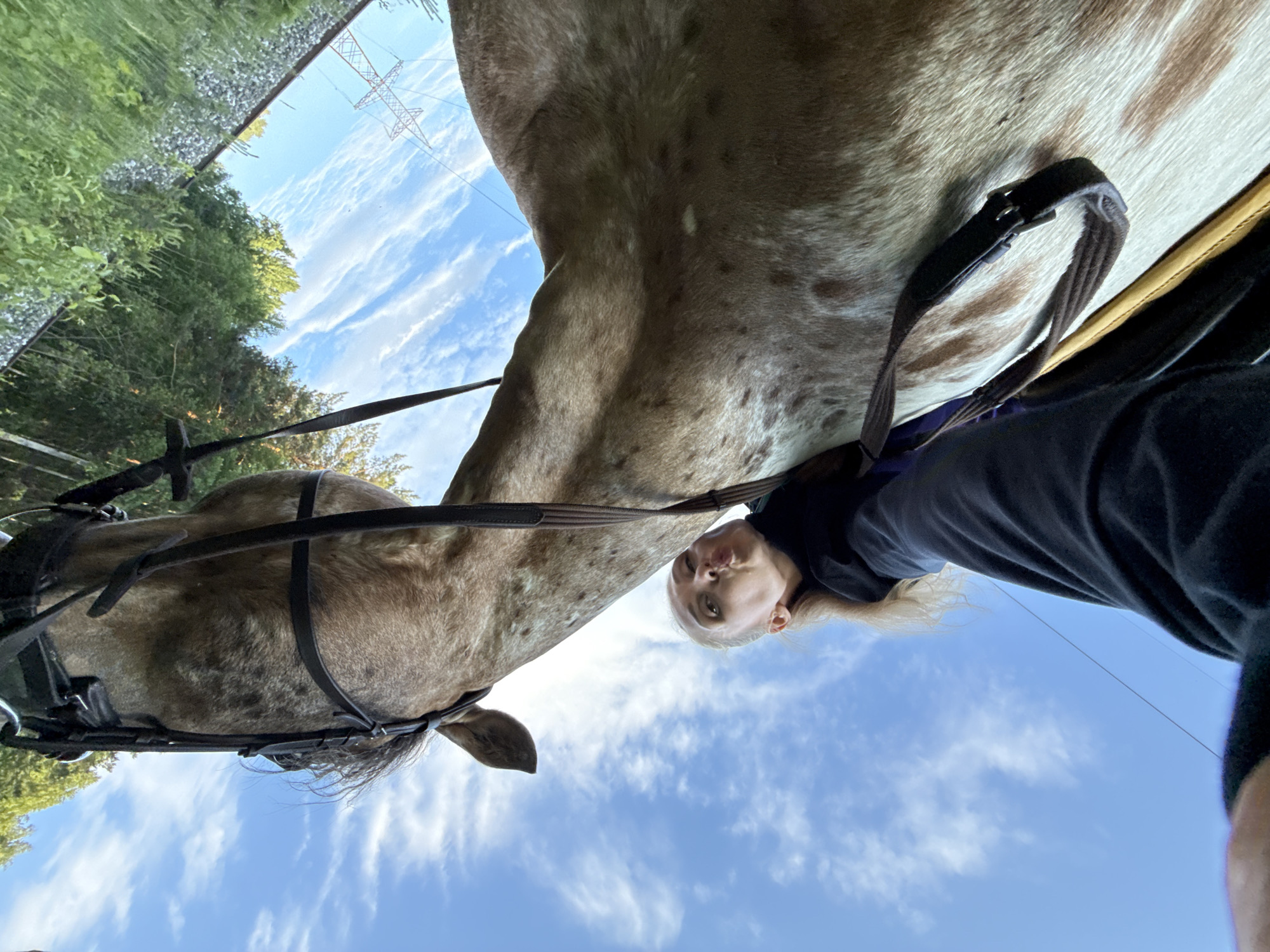 In a low-angle shot, a person leans in towards a horse's head, puckering their lips for a kiss. The horse, with a speckled brown and white coat, wears a bridle. The scene takes place outdoors, with a bright blue sky featuring wispy white clouds visible above and behind the subjects. Lush green trees line the upper right portion of the frame, and a transmission tower can be seen in the distance against the sky. The overall orientation of the image is rotated.