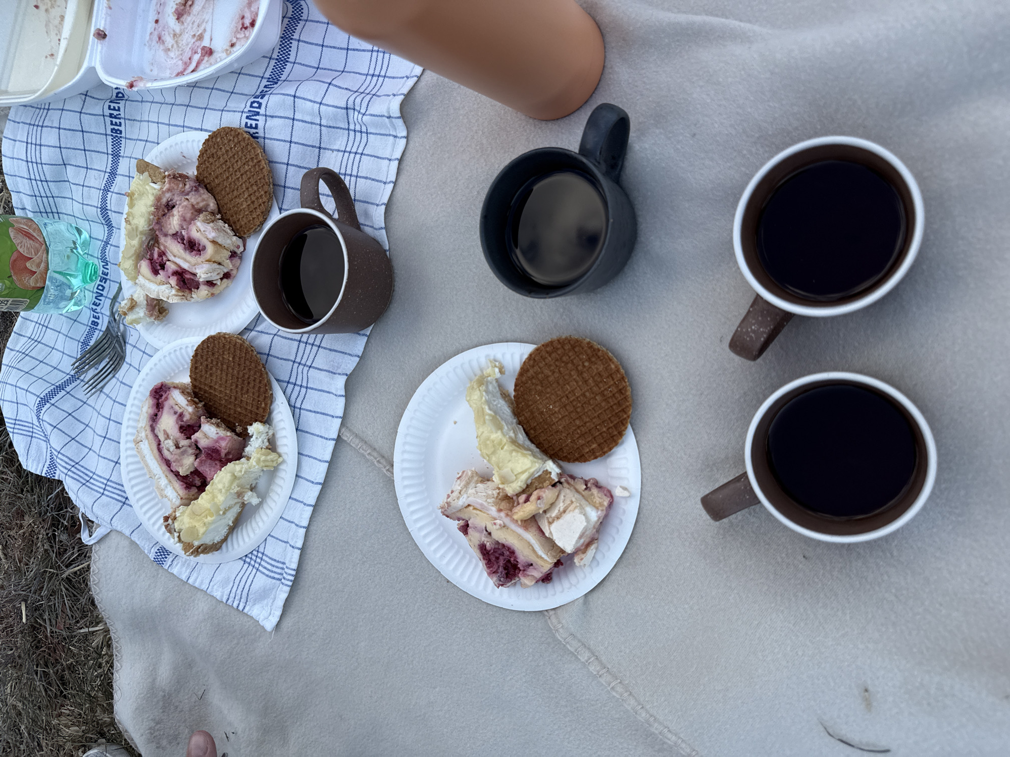 The image shows a picnic scene on a grey blanket outdoors. There are two plates with slices of cake and stroopwafels, and four cups of coffee. A bottle of green liquid and a thermos are also visible. The background suggests a natural environment with dry grass. The scene appears to be set in the city of Đurići, Montenegro, based on the provided context, although this is not visually evident in the image itself. There are no people explicitly depicted in the image, but implied presence through the picnic setup.