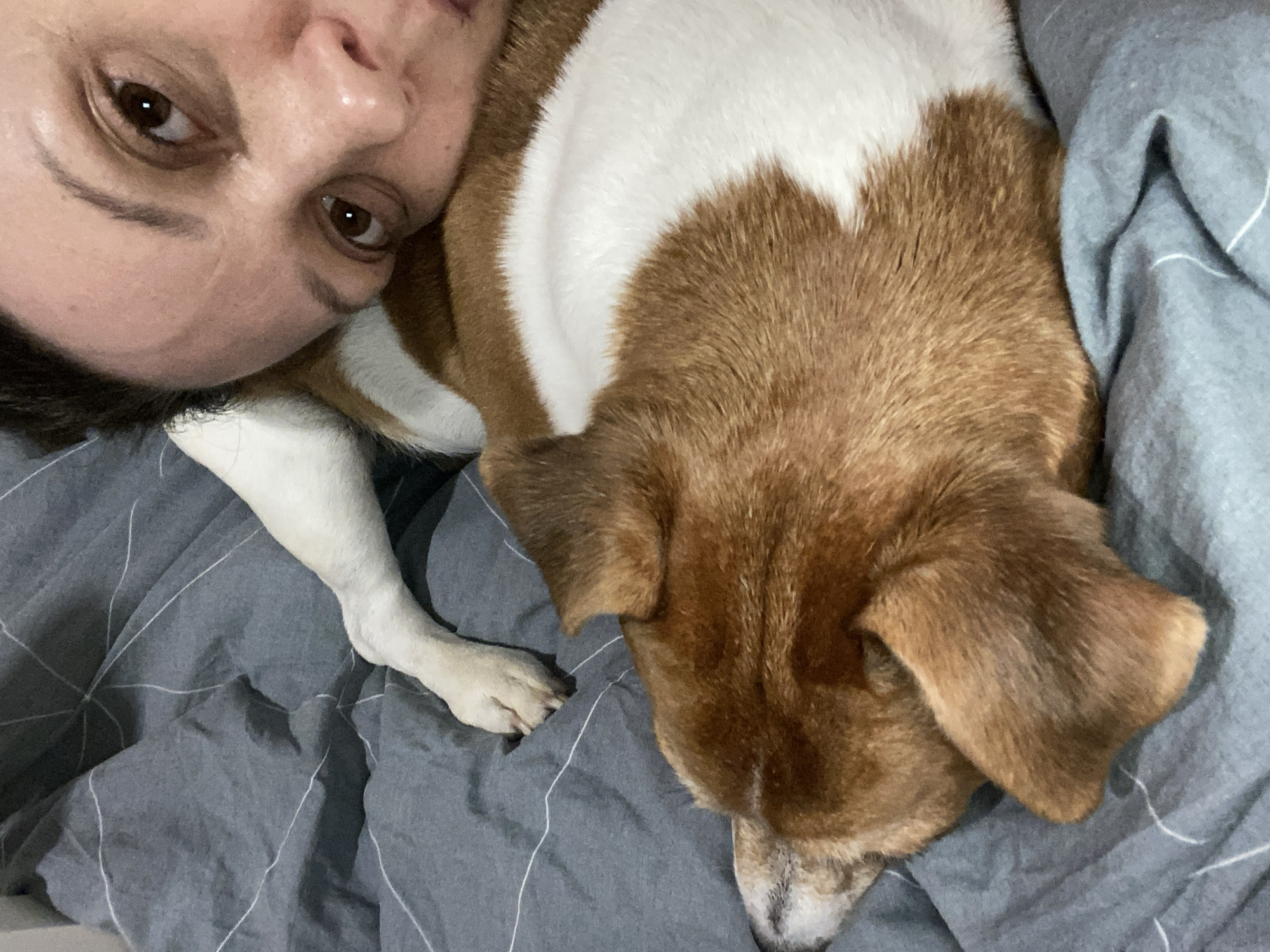 A woman and a dog are lying on a gray bed with a geometric pattern. The woman's face is close to the camera, and her gaze is directed towards the camera. A brown and white dog is lying next to her, facing away from the camera. The location is not discernible from the image.