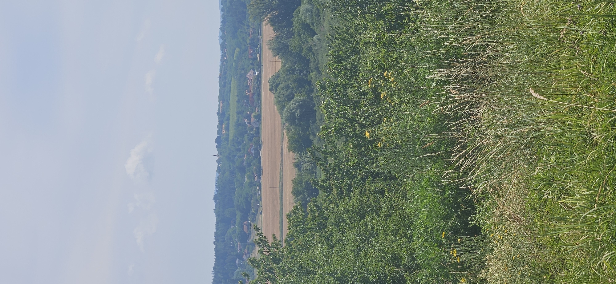 The image depicts a wide, panoramic view of a rural landscape under a hazy, light blue sky with scattered white clouds. The foreground is dominated by tall, green grasses and wildflowers, some with yellow blooms. Behind this, dense green trees form a thick band across the mid-ground. Beyond the trees, a wide, light brown field stretches out, suggesting harvested crops. Further in the distance, a village is nestled among rolling, tree-covered hills. The village features numerous red-tiled roofs and a prominent church steeple. The overall impression is of a serene, agricultural area. There are no people or animals visible in the image. The scene is consistent with the countryside surrounding Hévíz, Hungary, a region known for its picturesque rolling hills, agricultural fields, and small villages.