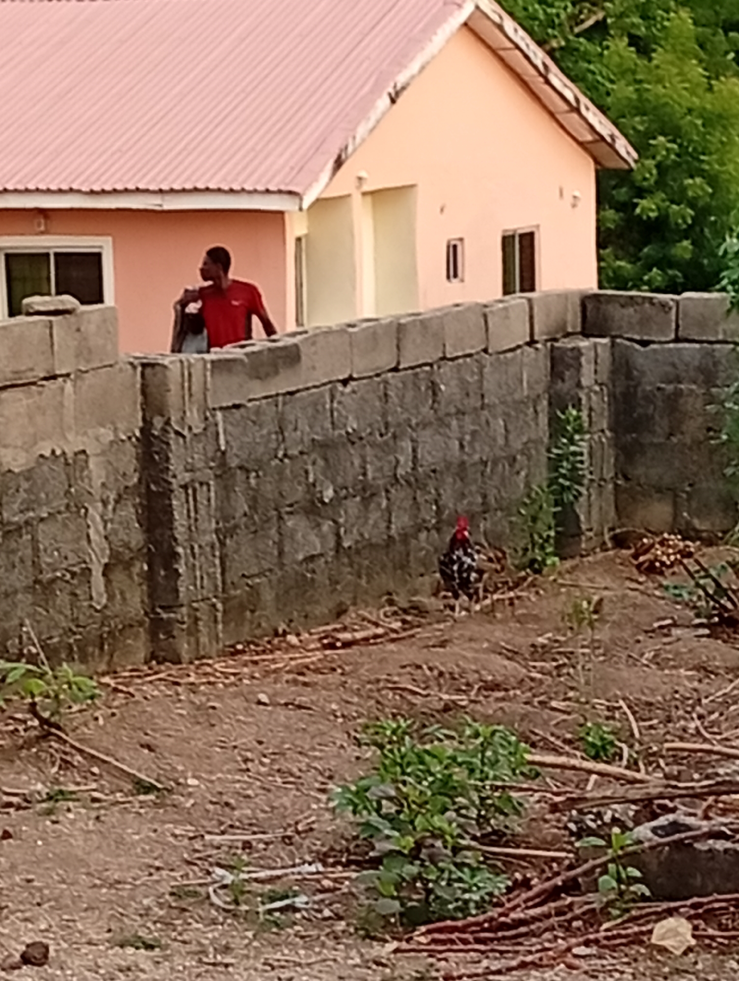 In Adankolo, Nigeria, the image shows a partially constructed concrete block wall, behind which a man in a red shirt stands, with what appears to be a bag over his shoulder. Adjacent to the wall is a chicken. The background includes a salmon-colored house with a matching metal roof. The foreground is barren ground with sparse vegetation and scattered sticks.