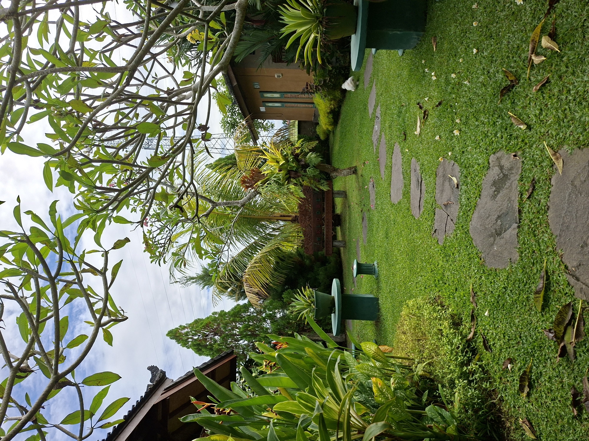 The image captures a serene garden scene in the Ubud District of Indonesia. A pathway of irregular stone slabs cuts through lush green grass, scattered with fallen leaves and small white flowers. Towering above the landscape, tropical trees and palms provide shade and depth to the composition. In the background, a modest, earth-toned building with green window frames blends into the verdant surroundings. In the foreground, a tree with intricate branching patterns frames the sky, which is partially visible with light clouds. There are two green raised planters on each side of the pathway. The scene portrays the tranquil atmosphere typical of Ubud's natural landscapes.