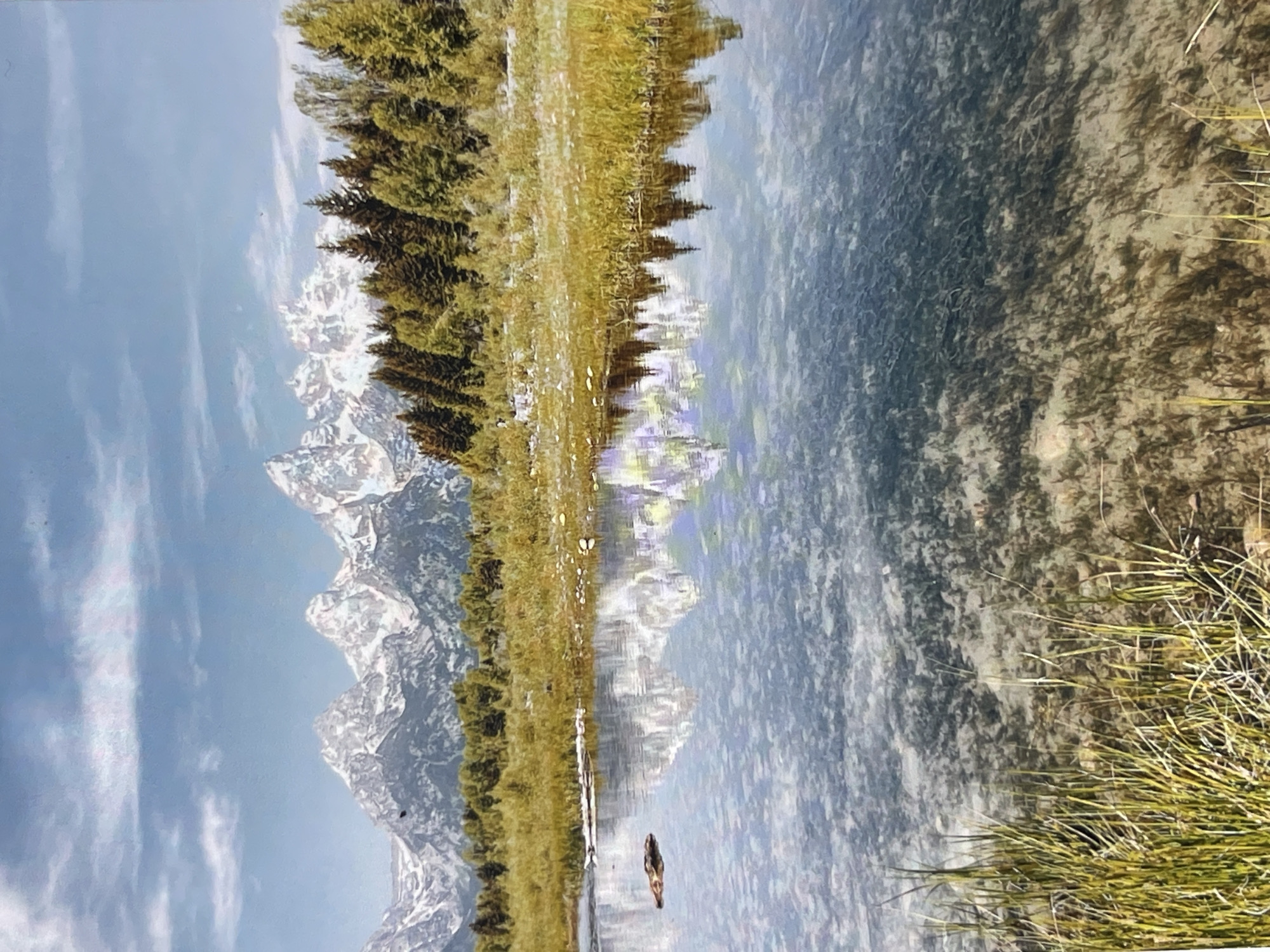 The media file depicts a scenic landscape, likely a reflection in a body of water. The dominant subjects include snow-capped mountains, a dense line of evergreen trees, and a grassy shoreline. The water itself is clear, allowing a view of the pebbly or sandy bottom in some areas.
The scene appears to be a still, natural environment. There are no people or man-made objects visible, aside from the implied presence of the photographer. The activity, if any, is simply the static beauty of the natural world.
Notable details include the clear, blue sky with scattered clouds, suggesting fair weather. The reflection in the water is very distinct, mirroring the mountains, trees, and sky with remarkable clarity, though slightly distorted by the water's surface. The time of day is not precisely determinable, but the light suggests it could be daytime, perhaps late morning or early afternoon. The grassy reeds along the edge of the water add to the natural setting.
There is no visible text in the image. The overall emotion evoked is one of peace and natural grandeur. Given the location context provided as Kafr Yasif, Israel, this would indicate a potentially surprising landscape for that region, known for its Mediterranean climate and less for dramatic snow-capped mountains.