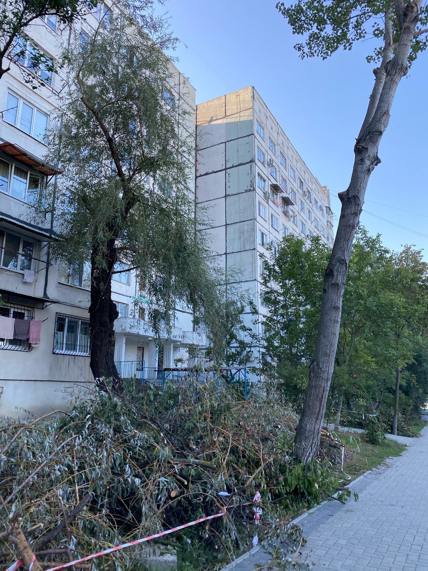 The image shows a residential building in Chișinău, Moldova, with a large tree that has fallen or been significantly damaged, its branches littering the sidewalk and the ground near the building. The building appears to be an older, multi-story apartment complex, with a light-colored facade and multiple windows. The tree in the foreground is tall and has a thick trunk, with many of its branches broken and scattered. Some of the debris is marked with red and white caution tape. The sidewalk is paved with grey interlocking bricks, and there are other trees and greenery visible in the background. The sky is clear and blue, indicating fair weather.