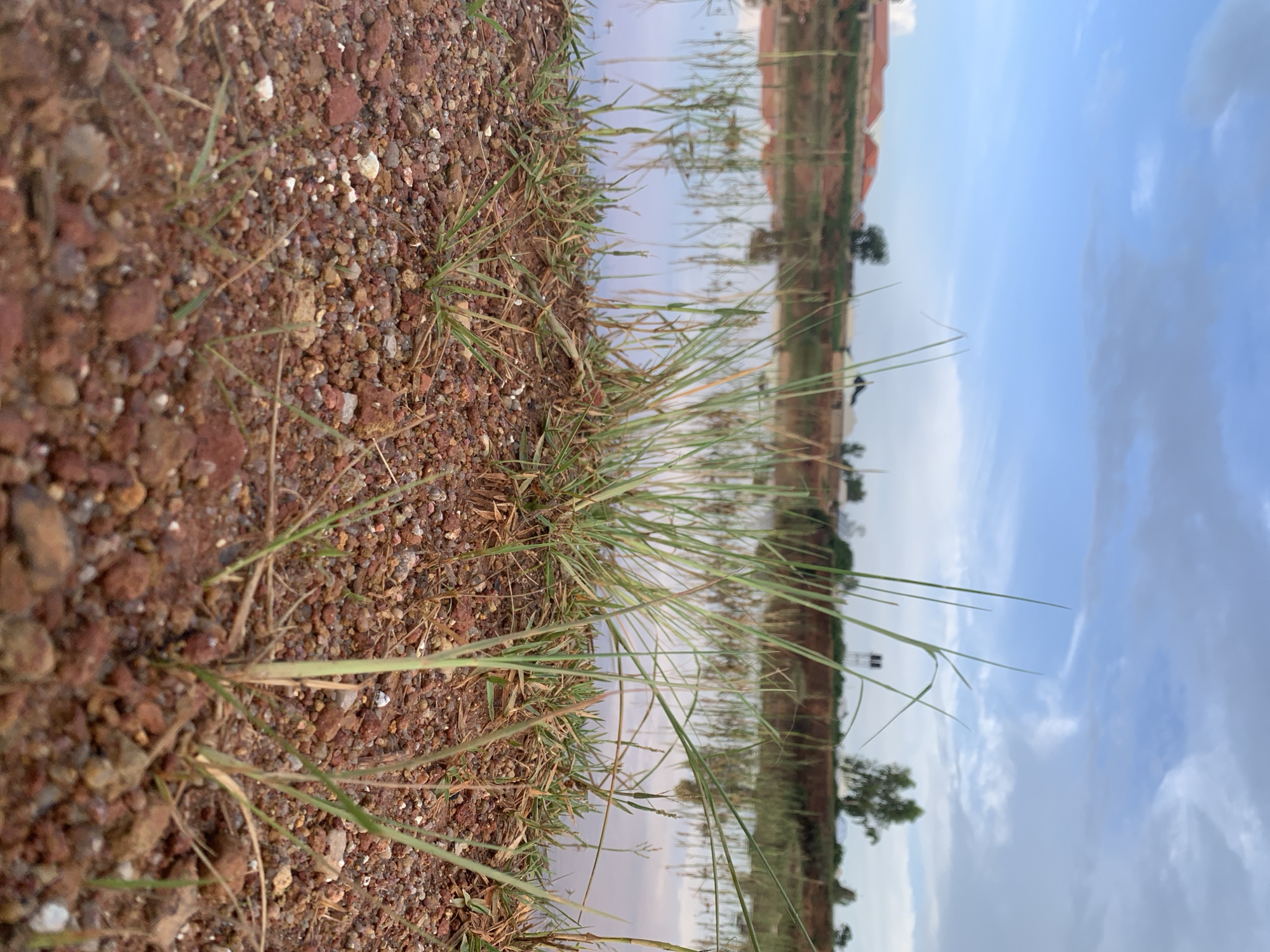The image depicts a low-angle shot of the foreground, focusing on reddish-brown gravel and sparse green grass. Beyond the immediate terrain, a body of water is visible, reflecting the sky and the distant landscape. The background features a line of buildings with orange roofs, trees, and a utility tower under a cloudy sky. The scene appears to be an outdoor environment, potentially a natural landscape or an undeveloped area within Bar Gada, Nigeria, given the architectural style and vegetation. There are no people or visible actions.