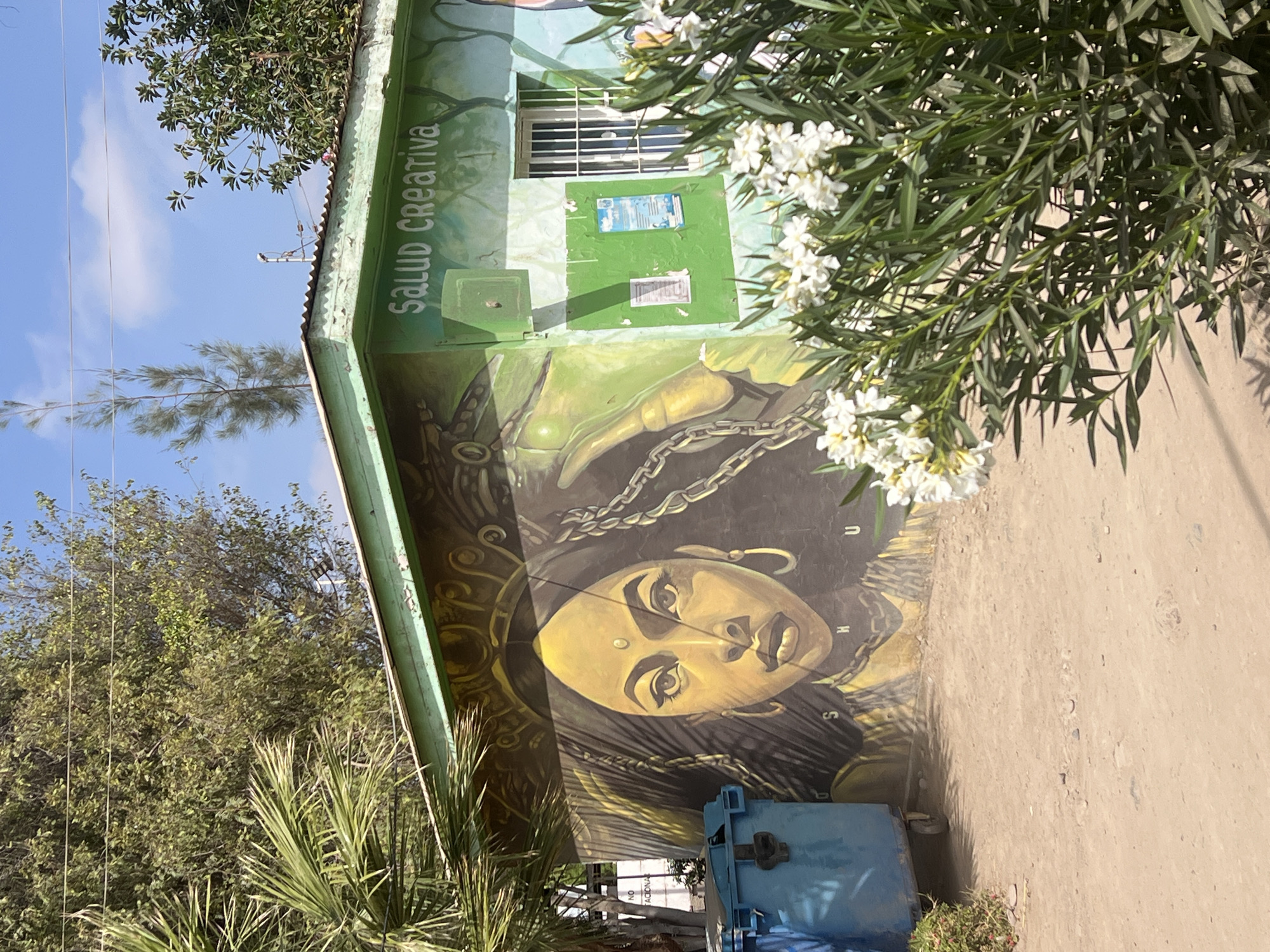 A vertical, eye-level shot captures the mural of "Salud Creativa" in Arica, Chile. The mural is painted on the side of a building. The mural features a large portrait of a woman. The woman has a gold-toned face, and gold jewelry. Chains rest on her head and shoulders. The name of the mural is painted in a vertical direction in green. The mural is partially obscured by a bush with white flowers. A blue container sits at the base of the wall. Trees are visible in the background.