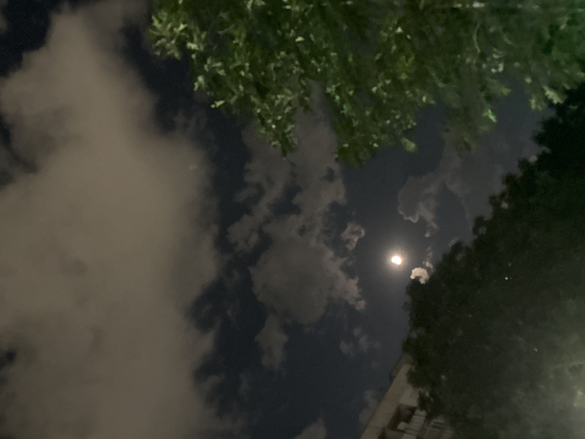 This is a nighttime photograph taken from a low vantage point looking up at the sky. The image captures a celestial scene with a bright moon partially obscured by clouds, creating a soft glow. The sky is a deep blue-black, indicative of the night. In the foreground, the silhouettes of dark green foliage from trees are visible, with one tree on the right side of the frame showing more detailed leaves illuminated by ambient light. To the left, a portion of a building with visible windows and balconies suggests an urban environment. The overall impression is one of a serene night, possibly in a residential area of Plovdiv, Bulgaria, given the presence of buildings and trees under a moonlit sky.