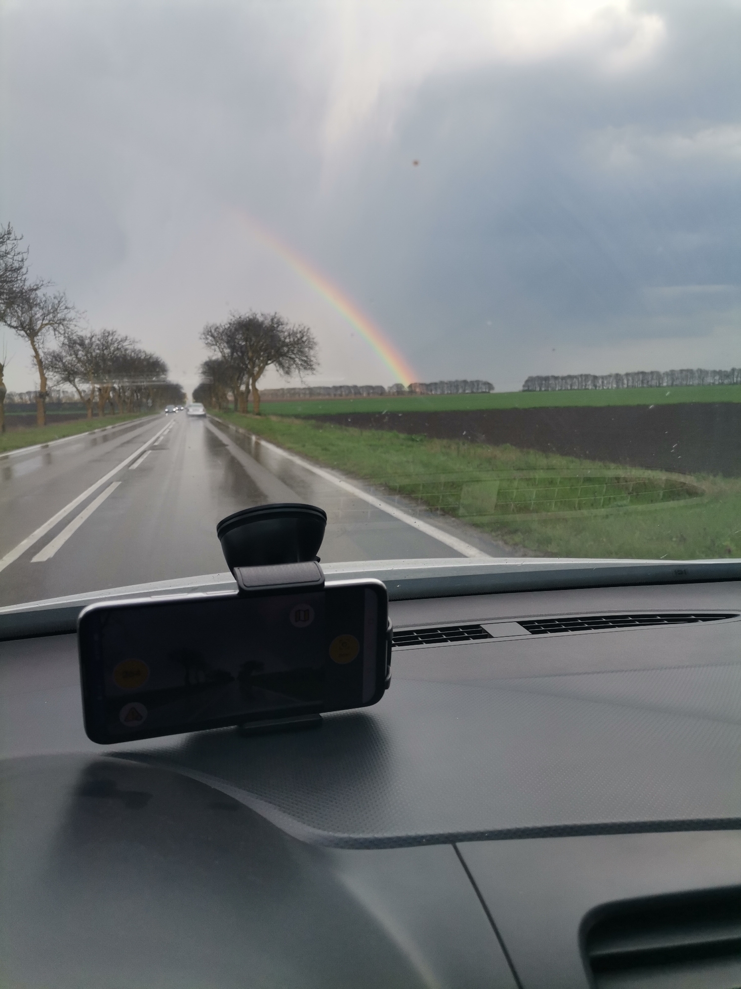 The image captures a first-person view from inside a car, looking out over a wet road and rural landscape during an overcast day. A vibrant rainbow arcs across the sky on the right side of the frame.
In the foreground, the dark grey dashboard of the car is prominent, featuring a textured surface and air vents. A black smartphone mount holds a smartphone horizontally on the dashboard. The phone's screen displays several user interface elements, including circular yellow icons (one with a possible play/record symbol, another with a warning triangle) and a small white square icon in the top right, but no clearly legible text.
The main subject of the scene is a two-lane asphalt road, which appears wet and reflective from recent rain. Double white lines mark the center of the road. On both sides, lines of bare-branched trees, possibly forming an avenue, stretch into the distance. Several cars with headlights on are visible in the distance, suggesting ongoing traffic.
Beyond the road, to the right, are large agricultural fields with patches of green vegetation and dark brown earth. Another distant line of trees marks the horizon. The sky is predominantly grey and cloudy, typical of post-rain weather, but lightens where the rainbow is most prominent. The rainbow is distinct, its colors clear against the muted sky, starting from the mid-right and extending towards the upper right of the image.
The scene depicts driving through a rural area, consistent with the location context of Stefanovo, Bulgaria. The time of day is daytime, characterized by overcast skies and the aftermath of rain, creating the conditions for the rainbow's appearance.
