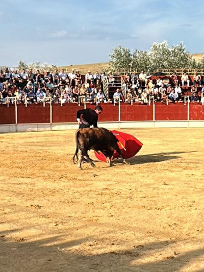 The image shows a bullfight in San José del Valle, Spain. A bull and a matador are in the center of a bullring with a sandy surface. The matador is dressed in dark clothing and holding a red cape. The bull is dark brown. Spectators are seated in tiered rows around the perimeter of the ring, behind a red barrier. The background includes a slightly elevated landscape with scattered trees under a bright sky.