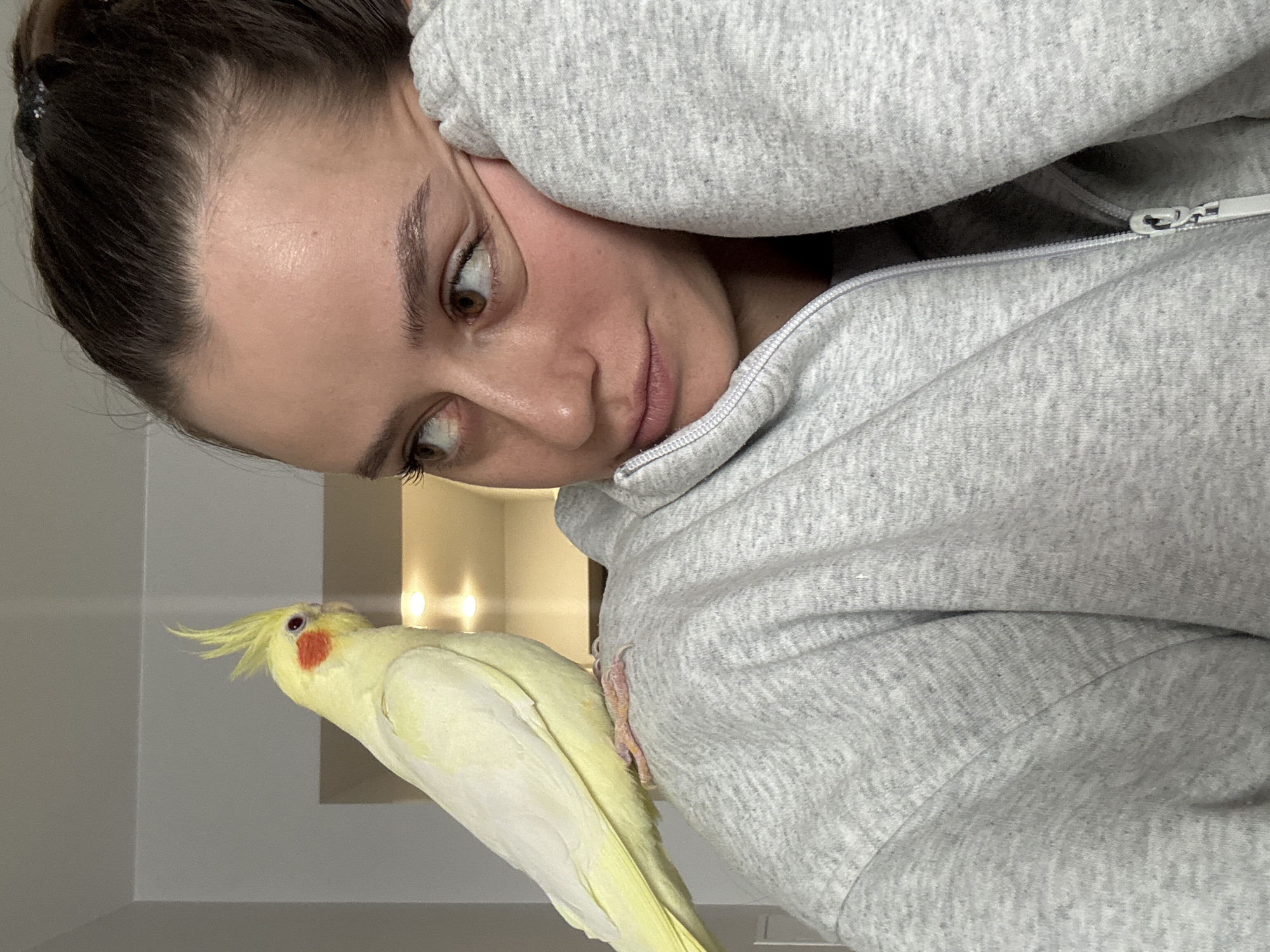A woman with brown hair pulled back in a bun, wearing a light gray zip-up hoodie, looks down to her left at a yellow and white cockatiel perched on her shoulder. The bird has a red cheek patch and a yellow crest. The background includes a white wall and a partially visible lit wall sconce. There is no verifiable information to determine if this image was taken in Krasnoyarsk, Russia.