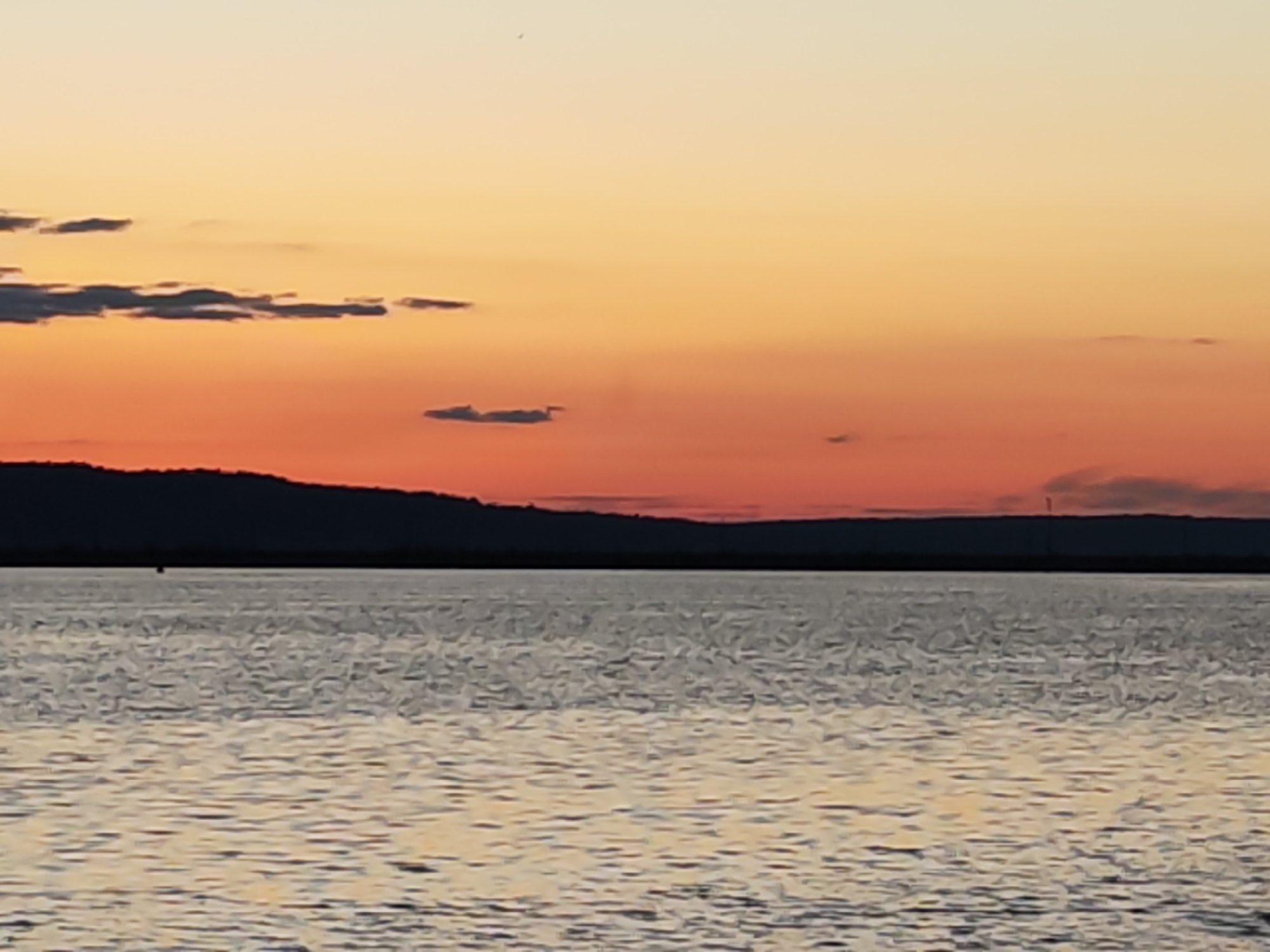 The image captures a serene landscape during either sunrise or sunset, looking across a wide body of water towards a distant landmass.
The upper portion of the frame is dominated by a vibrant sky displaying a warm gradient of colors. The top section is a soft, pale yellow-orange, transitioning downwards into a deeper, rich orange, and then to a reddish-orange hue closer to the horizon. Scattered across the sky are several small, dark grey clouds; some are elongated and flat, while others appear as indistinct smudges. A tiny, dark speck, possibly a bird, is visible in the upper-left sky.
A dark, silhouetted landmass stretches across the horizon, forming a low, undulating line that suggests distant hills or mountains. The details of this land are indistinct due to the low light, but a faint vertical structure, possibly a tower or antenna, can be discerned towards the right side of the silhouette.
The lower half of the image is filled by the calm surface of the water, likely a large river or reservoir. The water's surface reflects the soft, warm tones of the sky, creating shimmering patterns of light and shadow, indicating gentle ripples.
The overall atmosphere is tranquil and peaceful. There are no people visible, and no discernible text in the image. Given the provided context, this scene is likely a view over the Kama River or Votkinsk Reservoir near Chaikovsky, Russia, at dusk or dawn.