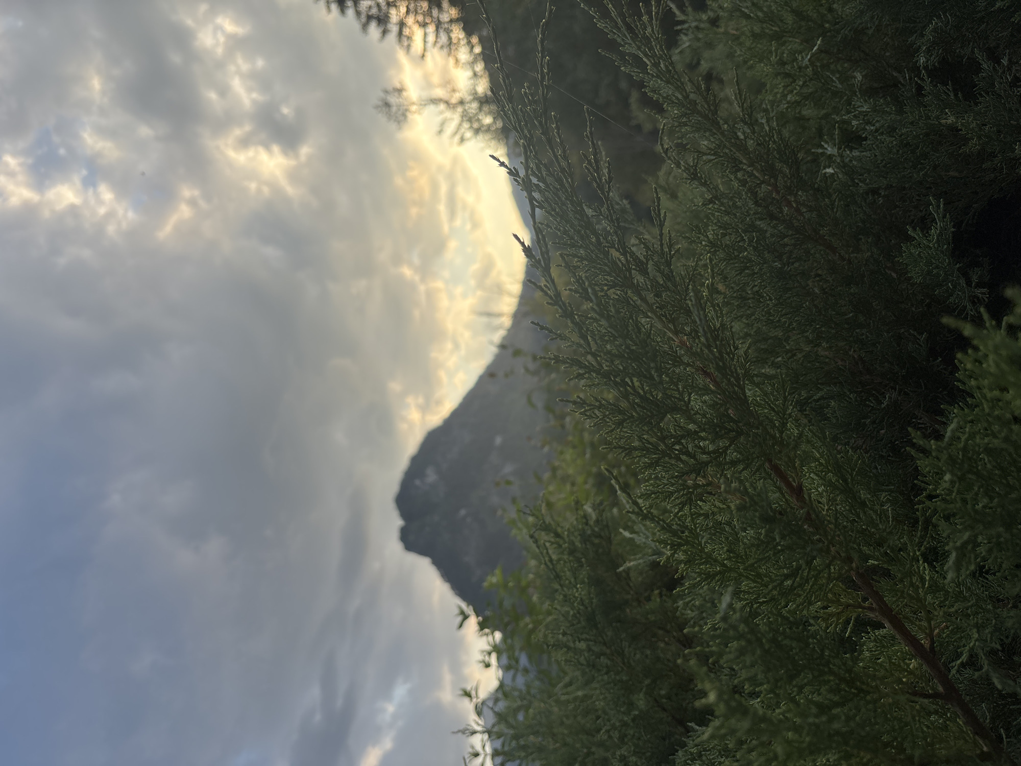 In the foreground of the image, lush green coniferous branches are in sharp focus, obscuring much of the background. Behind these branches, a silhouetted mountain peak rises against a dramatic sky. The sky is filled with clouds, with patches of sunlight breaking through, suggesting either sunrise or sunset. The mountain is dark and jagged, its form softened by atmospheric perspective. The overall scene conveys a natural, serene landscape, likely in a mountainous region.