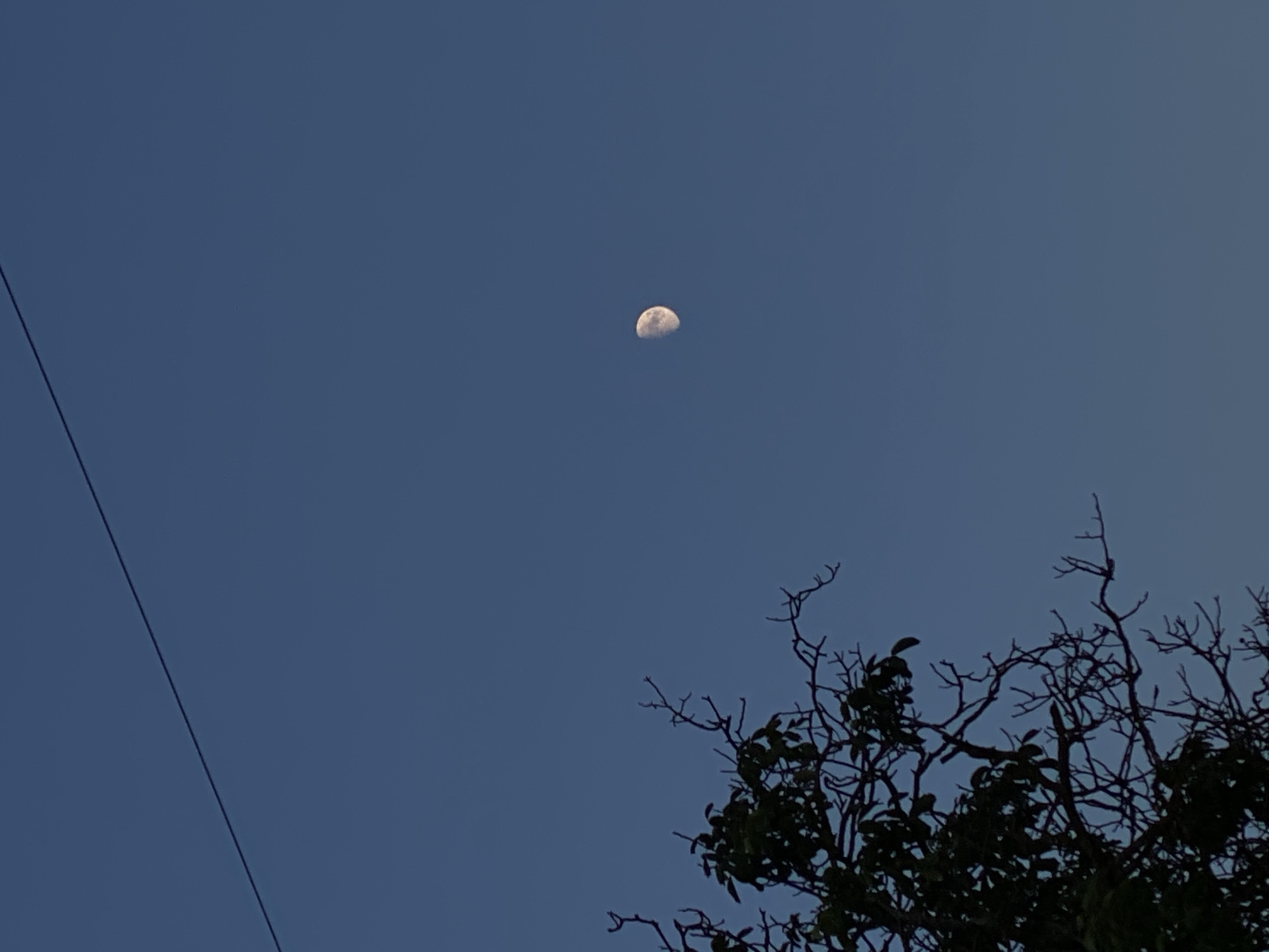 A tree with dark branches and some leaves is silhouetted against a clear, deep blue sky. A thin, dark wire stretches diagonally across the upper left portion of the sky. In the right half of the sky, a visible portion of the moon, illuminated from the right, is present. The image appears to have been taken outdoors in Cairaclia, Moldova, possibly at dusk or dawn given the lighting conditions and the visible moon. There are no people or other objects or actions depicted.