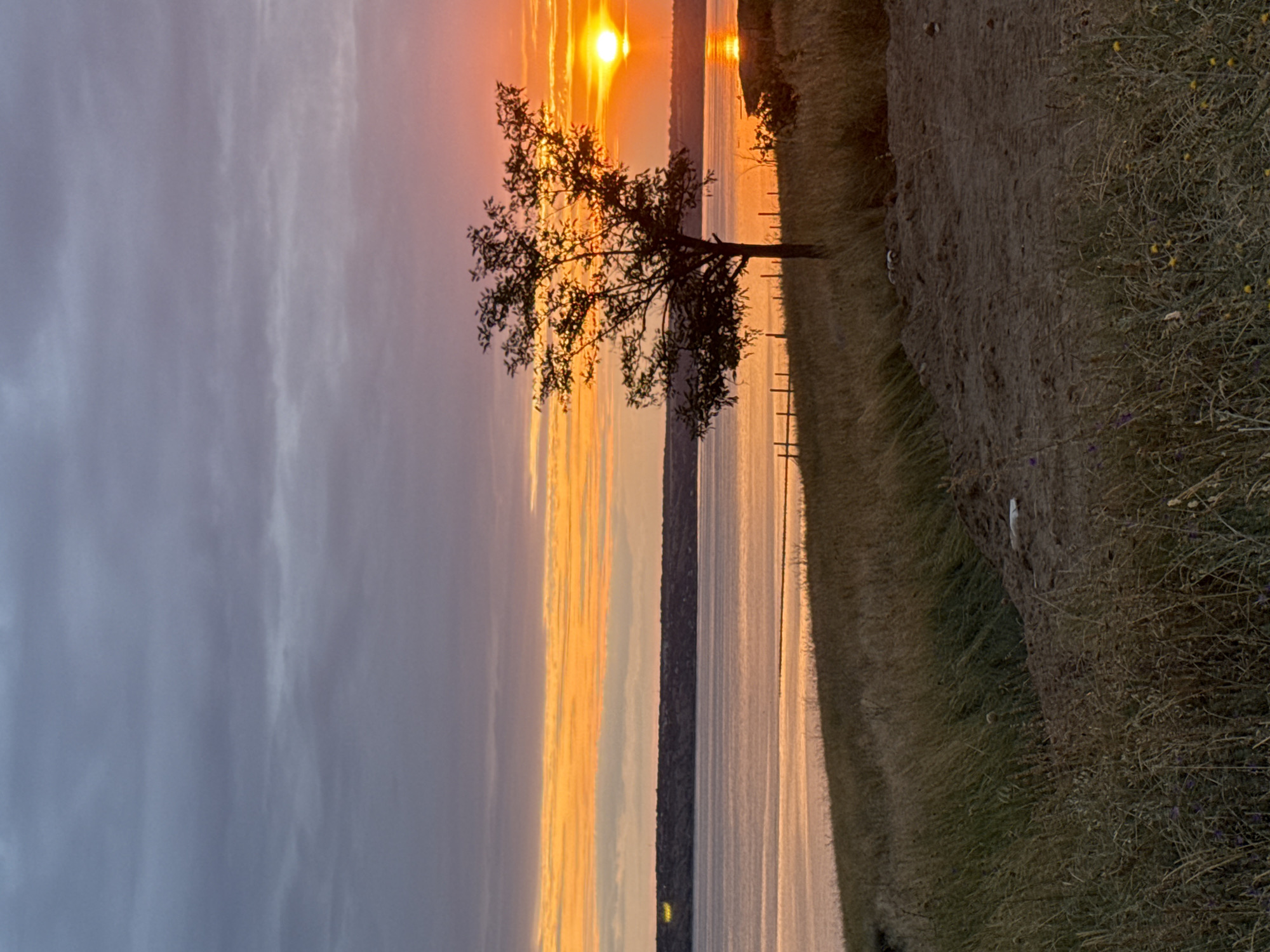 This is a photograph of a sunset over a body of water, likely a river or lake, with a hill in the foreground. The sky is a gradient of colors, from dark gray clouds at the top to bright orange and yellow hues near the horizon. A lone tree stands on the hill, silhouetted against the setting sun. The foreground is covered in dry grass and dirt. The image appears to be taken in Protopopivka, Ukraine, based on the provided context. There are no people or animals visible in the image. The scene is peaceful and natural, capturing the beauty of the Ukrainian landscape at dusk.