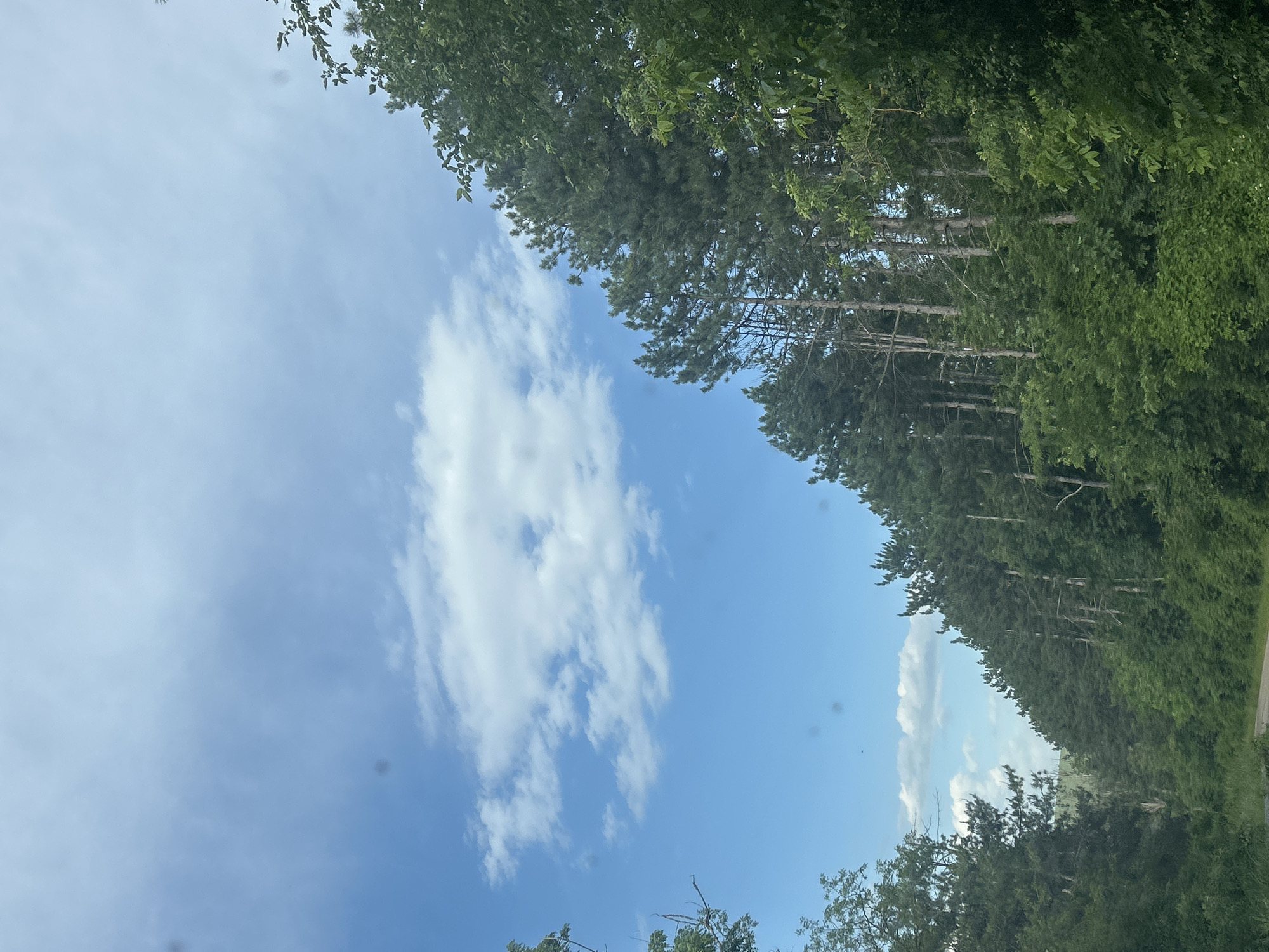 The image shows a view of the sky with trees on either side. The sky is mostly blue with white clouds. The trees are green and dense. The image may be taken from a road or path lined with trees. The location is potentially near or within the city of Cherven, Bulgaria. There are no people visible. The environment is natural.