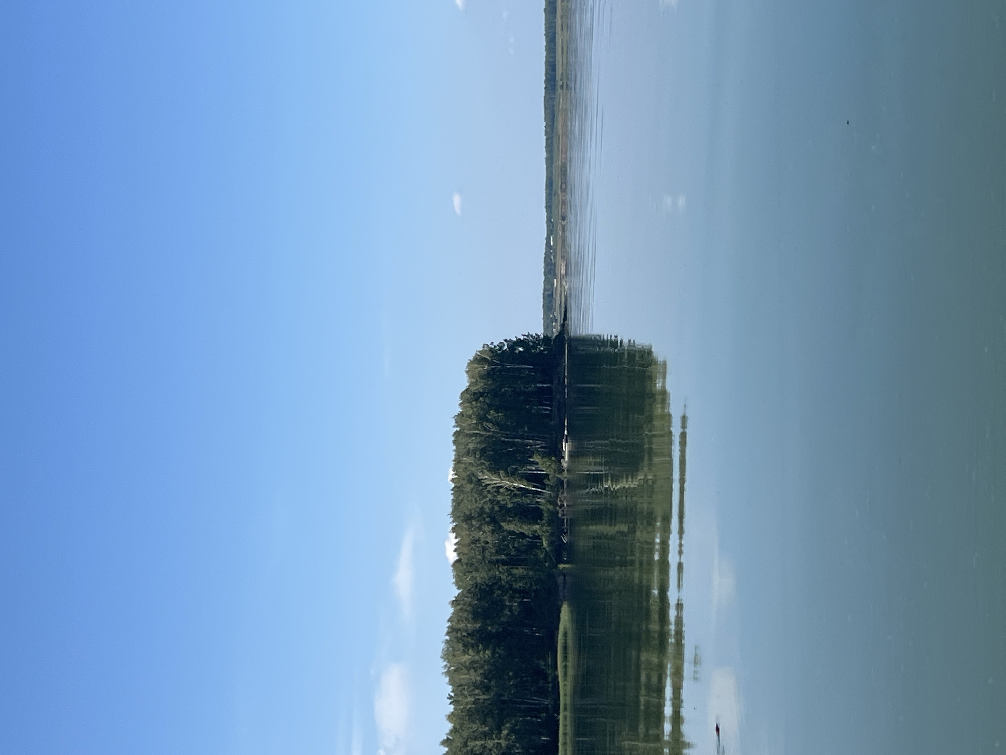 A vertical, wide-angle shot captures a serene natural landscape under a bright, clear blue sky. The scene is dominated by a tranquil body of water that occupies the lower half of the frame, reflecting the sky and the distant tree line with remarkable clarity.
In the middle ground, a dense forest of green trees stretches across the horizon, forming a natural barrier between the water and the sky. The trees are varied in height and density, with some taller, lighter-barked trees interspersed amongst the darker foliage. The reflection of this forest is clearly visible on the water's surface, creating a symmetrical visual effect.
Further in the distance, beyond the trees, the landscape appears flatter and more open, with hints of what might be fields or sparse vegetation, and possibly some distant structures. A few wispy white clouds are scattered across the expansive sky.
The water itself appears calm, with only slight ripples disturbing the reflection. The overall impression is one of peacefulness and natural beauty. The image appears to be taken from a low vantage point, possibly from a boat on the water, giving the viewer a sense of being immersed in the environment. The lighting suggests it is daytime, likely midday or early afternoon, given the brightness of the sky. There are no people or animals visible in the frame.
The provided information about the location in Beregovoe, Russia, suggests this is a scene of natural beauty found in or near that region.