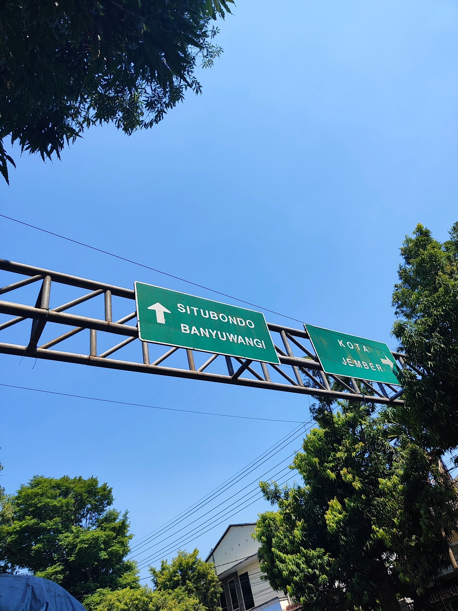 An eye-level, medium shot captures a bright, clear blue sky above a metal overpass structure supporting two green directional signs. The sign on the left, partially obscured by a tree on the left, displays an upward-pointing arrow and reads "SITUBONDO BANYUWANGI" in white capital letters. To the right, the second green sign has a right-pointing arrow and indicates "KOTA JEMBER" in white capital letters. The overpass is constructed of crisscrossing metal beams. Lush green trees flank the sides of the frame, with some foliage from the left tree intruding into the upper left corner. In the background, power lines are visible stretching across the sky, and a building with white walls and dark windows is partially visible at the bottom right. The overall scene suggests a roadway intersection with clear signage for regional destinations. The image was taken outdoors on a sunny day.