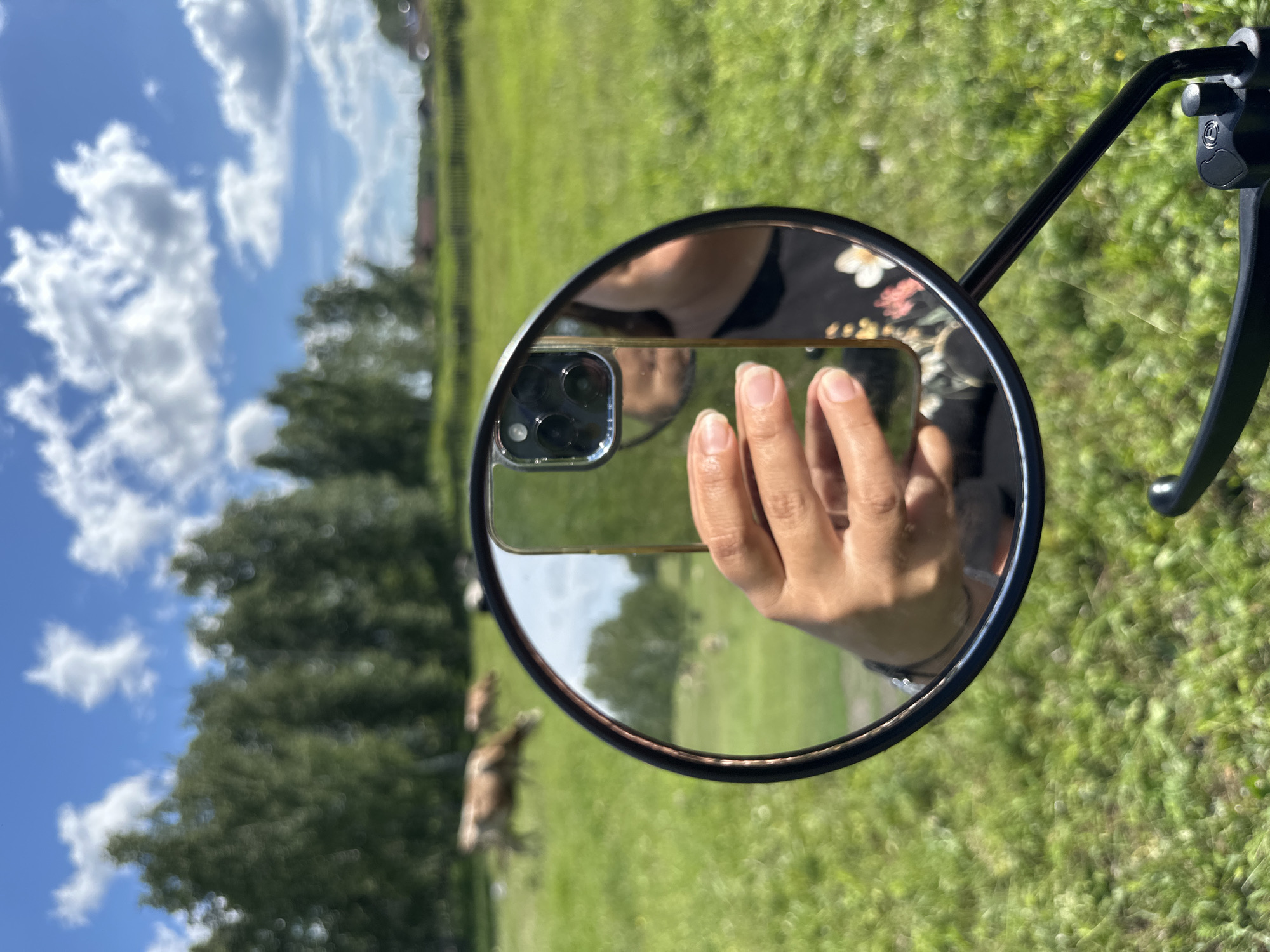 The image is a vertical shot that captures a reflection in a round rearview mirror. The mirror is mounted on a black arm. The reflection shows a person's hand holding a smartphone and taking a selfie. The smartphone's camera array is visible in the reflection. The person is wearing a dark top with a floral pattern.
The scene reflected in the mirror is a grassy field under a bright blue sky with scattered white clouds. In the background, there are trees. To the left of the mirror, a blurred animal, possibly a goat or a small cow, is visible standing in the grass.
The overall impression is that of a sunny day, likely in the daytime, as indicated by the bright lighting and clear sky. The setting appears to be outdoors, possibly a rural or park-like area. The activity is the act of taking a photograph. There is no visible text in the image.