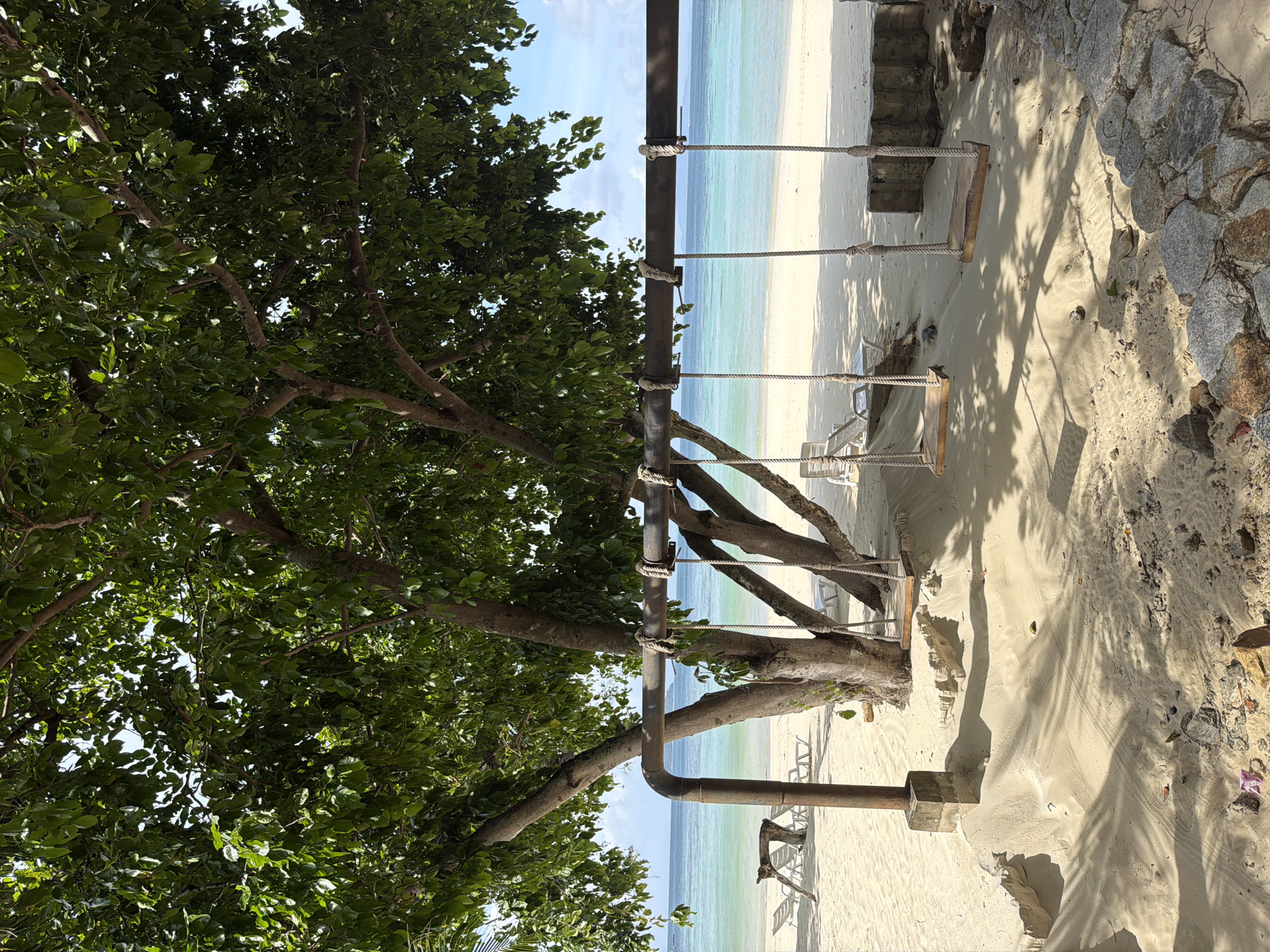 This is an outdoor, eye-level, medium shot of a beach scene in Ao Nang, Thailand. The foreground is dominated by a large tree with lush green leaves casting dappled shadows on the sand. Suspended from a horizontal pipe, which is supported by the tree and a vertical metal pole, are three wooden swings with rope ties. The sand in the foreground is coarse and uneven, with some rocks and debris scattered about. In the mid-ground, a pristine white sandy beach stretches towards the turquoise ocean. Several white lounge chairs are visible on the beach, suggesting a resort or public beach area. The ocean is calm, with a clear horizon line separating it from a light blue sky. The overall impression is one of a serene tropical environment. There are no people visible in the image.