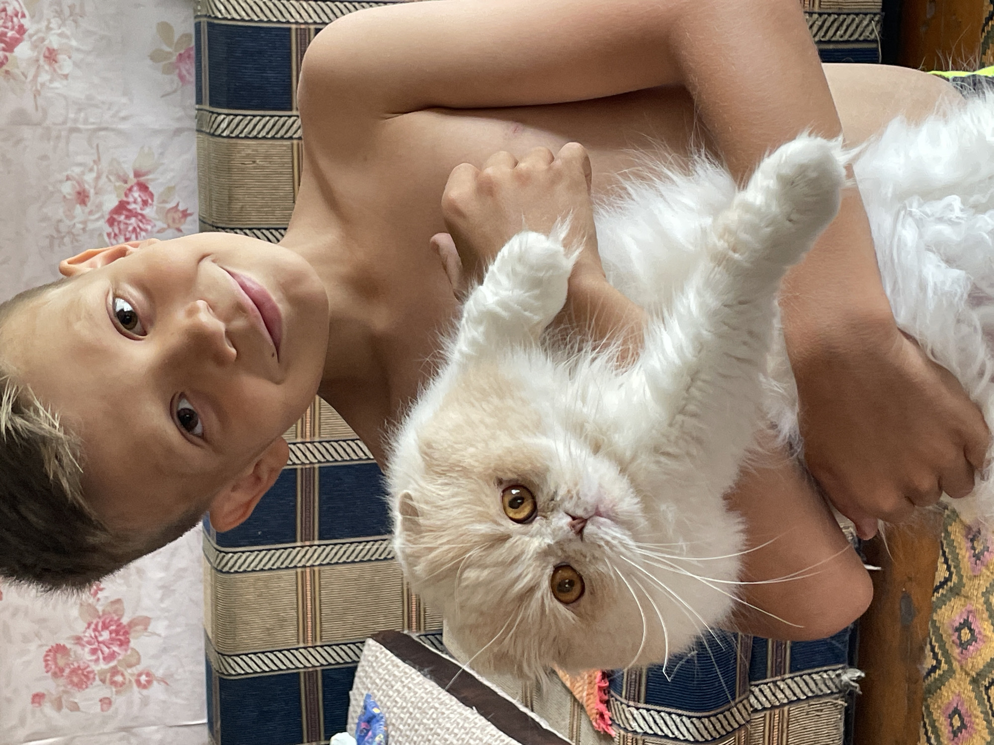 In the city of Маминское, Russia, a young, shirtless boy with short, spiky brown hair smiles at the camera while holding a cream-colored cat with orange eyes. The cat is positioned in front of the boy, partially obscuring his torso. The boy's left arm is around the cat's body, and his right hand is visible near the cat's hindquarters. Both subjects are positioned in the foreground.
Behind them, a patterned sofa with blue and tan upholstery is visible. The background also includes a wall with a floral wallpaper featuring pink and white flowers. The scene appears to be indoors, possibly in a residential setting. A small portion of what looks like a patterned rug is visible at the bottom of the frame. The lighting suggests it is daytime.