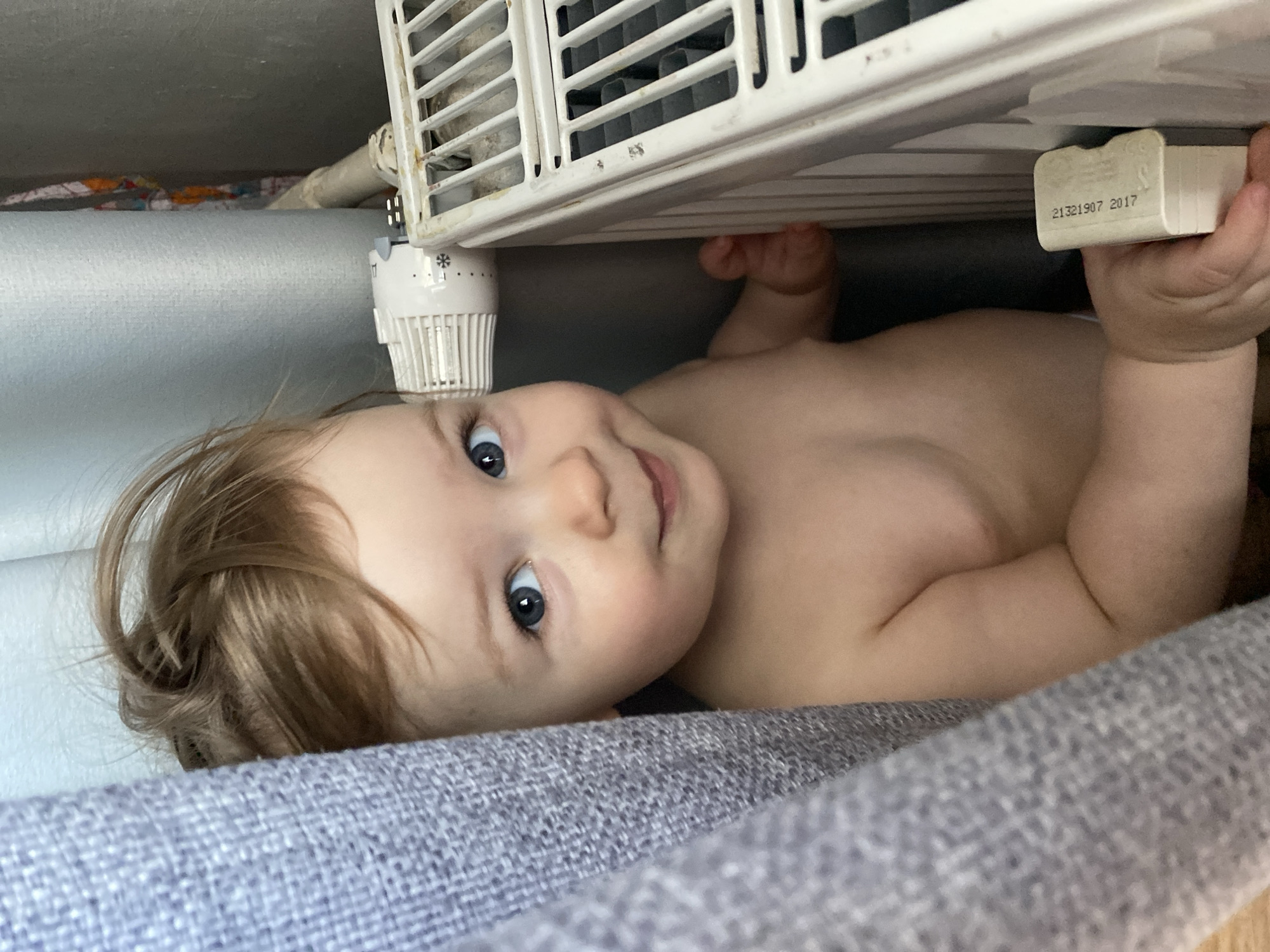 An indoor, eye-level shot captures a baby lying on their back, looking up towards the camera with a curious and slightly smiling expression. The baby has fair skin, light brown hair, and striking blue eyes, and is shirtless.
Above the baby, a white central heating radiator is prominently featured, positioned horizontally. To the left of the radiator, a white thermostatic radiator valve (TRV) is visible, marked with a snowflake symbol and partially obscured numbers. The baby's right hand reaches up, grasping a small, white, rectangular object that bears the embossed text "21321907 2017".
Behind the radiator, a light blue, soft cylindrical object, possibly pipe insulation or a cushion, runs horizontally. Further back, various pipes and a glimpse of a colorful patterned fabric are visible, suggesting a utility space or area behind the main elements. The baby is resting on a grey, textured fabric, likely a blanket, cushion, or part of a sofa or bed. The setting appears to be a domestic interior. The baby's direct gaze and gentle smile convey a sense of engagement and curiosity.