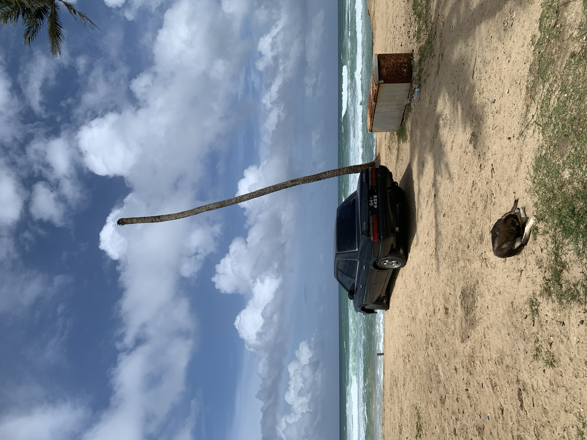 A black sedan is parked on a sandy beach in Midigama, Sri Lanka, facing the ocean. The car is positioned to the left of the frame, with the trunk towards the viewer. A lean, tall palm tree is leaning precariously to the right, behind the car. The ocean is visible in the background with moderate waves. In the foreground, a dark-colored dog is lying down on the sand, facing away from the viewer. To the right of the car, there is a rusty metal container. The sky is blue with scattered white clouds. The scene appears to be a sunny day.