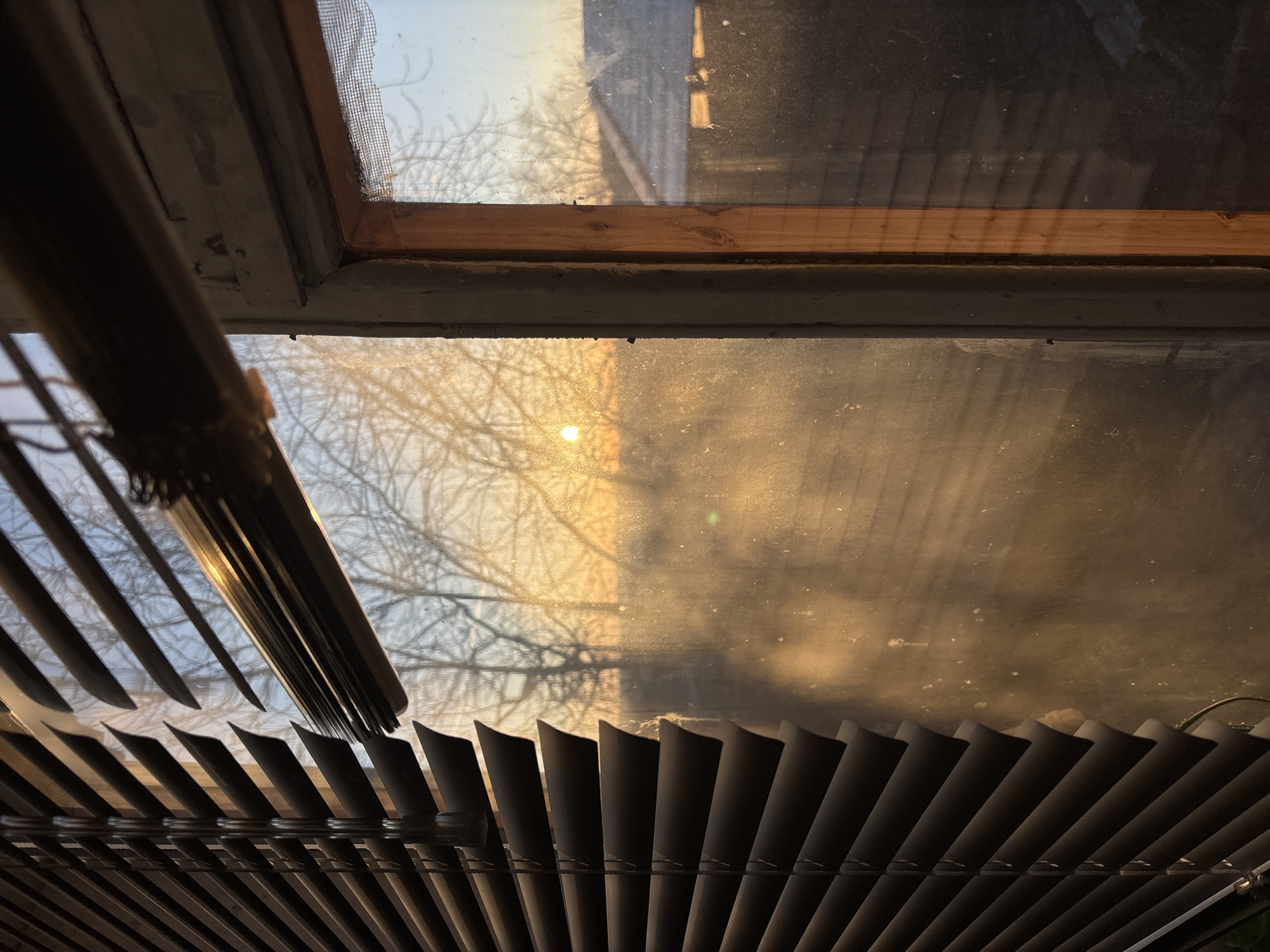 A view through a dusty window with closed blinds. The blinds are in the foreground and partially obstruct the view. Outside the window, bare tree branches are visible against a bright, golden sky, possibly at sunset or sunrise. A building is partially visible in the top right corner. The window frame appears old and weathered. There is no indication of the location being Фоки, Russia.
