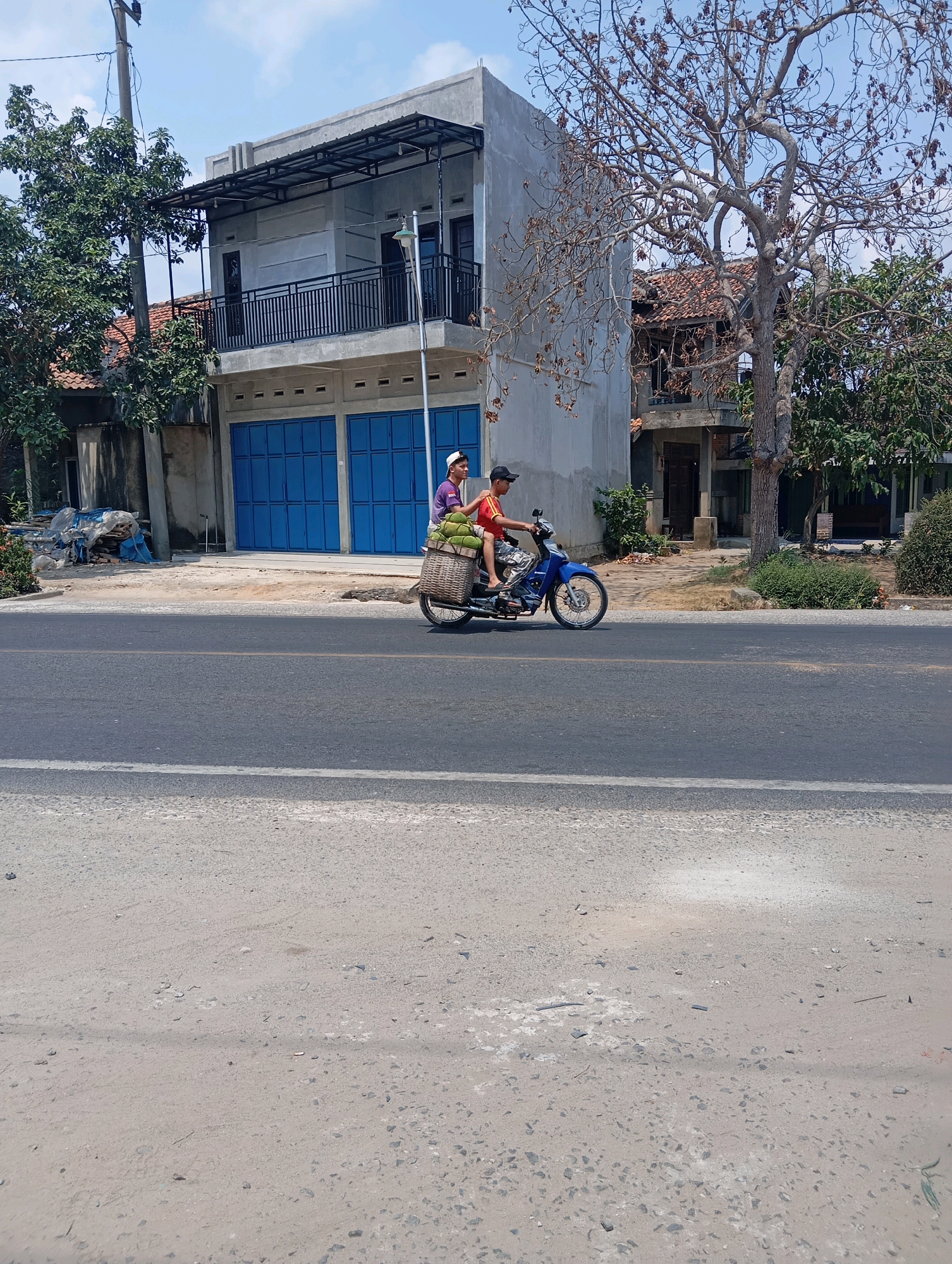In Leman Benawi, Indonesia, on a bright, sunny day, two young men ride a blue motorcycle on a paved road. The motorcycle is loaded with a large woven basket containing what appears to be coconuts. The rider in front wears a purple t-shirt and a white cap, while the passenger behind wears a red t-shirt and a black cap. They are traveling past a two-story building with a grey facade and blue rolling doors. To the left of the building is a tall, slender utility pole and lush green trees. To the right, a bare, dry tree with intricate branches dominates the foreground, and behind it, a smaller building with a terracotta roof is visible. The road is lined with a grey, gravelly shoulder.