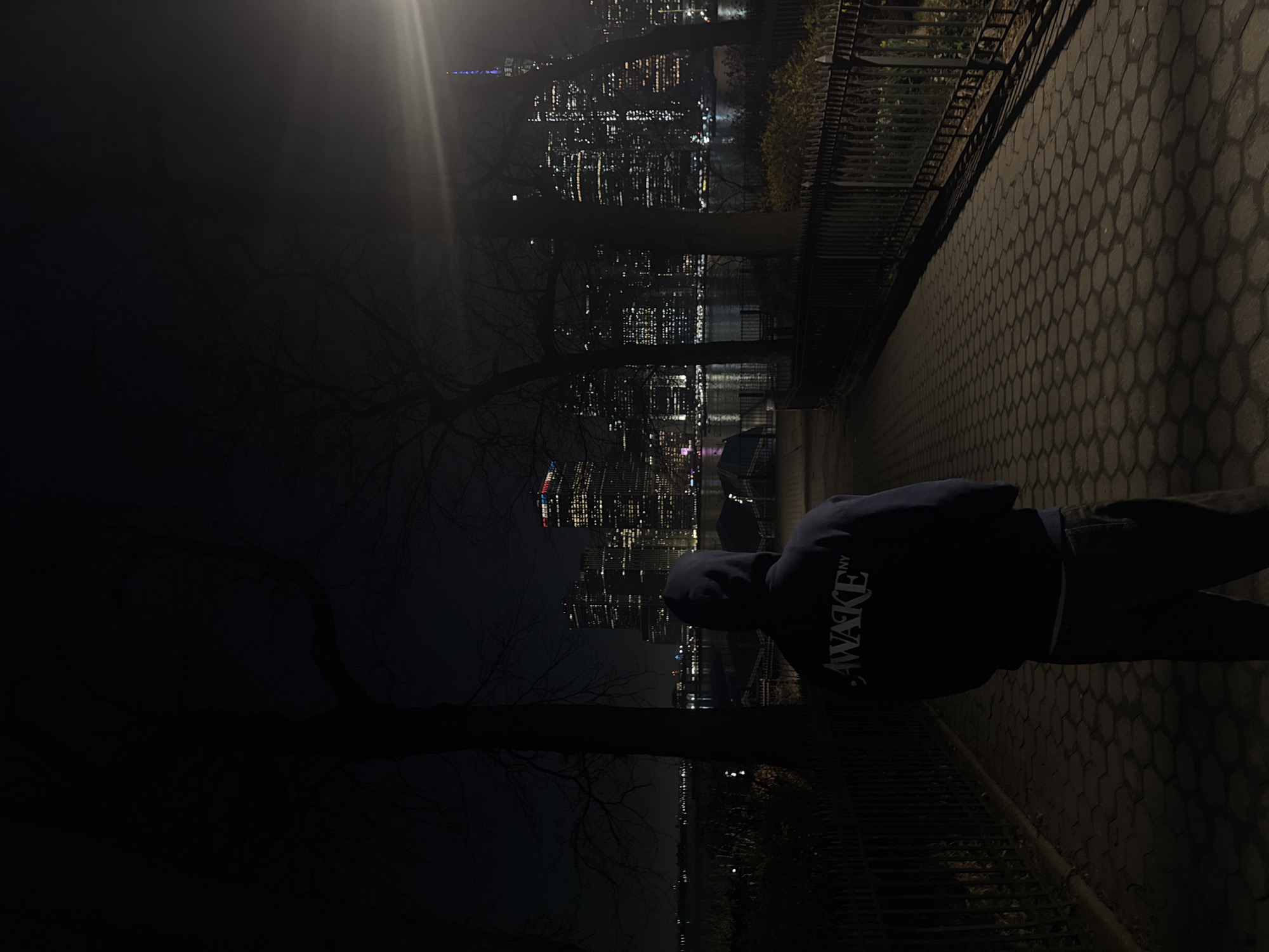 A person wearing a dark hoodie with the word "AWAKE" printed on the back stands on a hexagonal-paved path. A black iron fence separates the path from a backdrop of city lights. Bare trees are visible. The city lights suggest the Manhattan skyline, seen from Brooklyn Bridge Park, New York, USA.