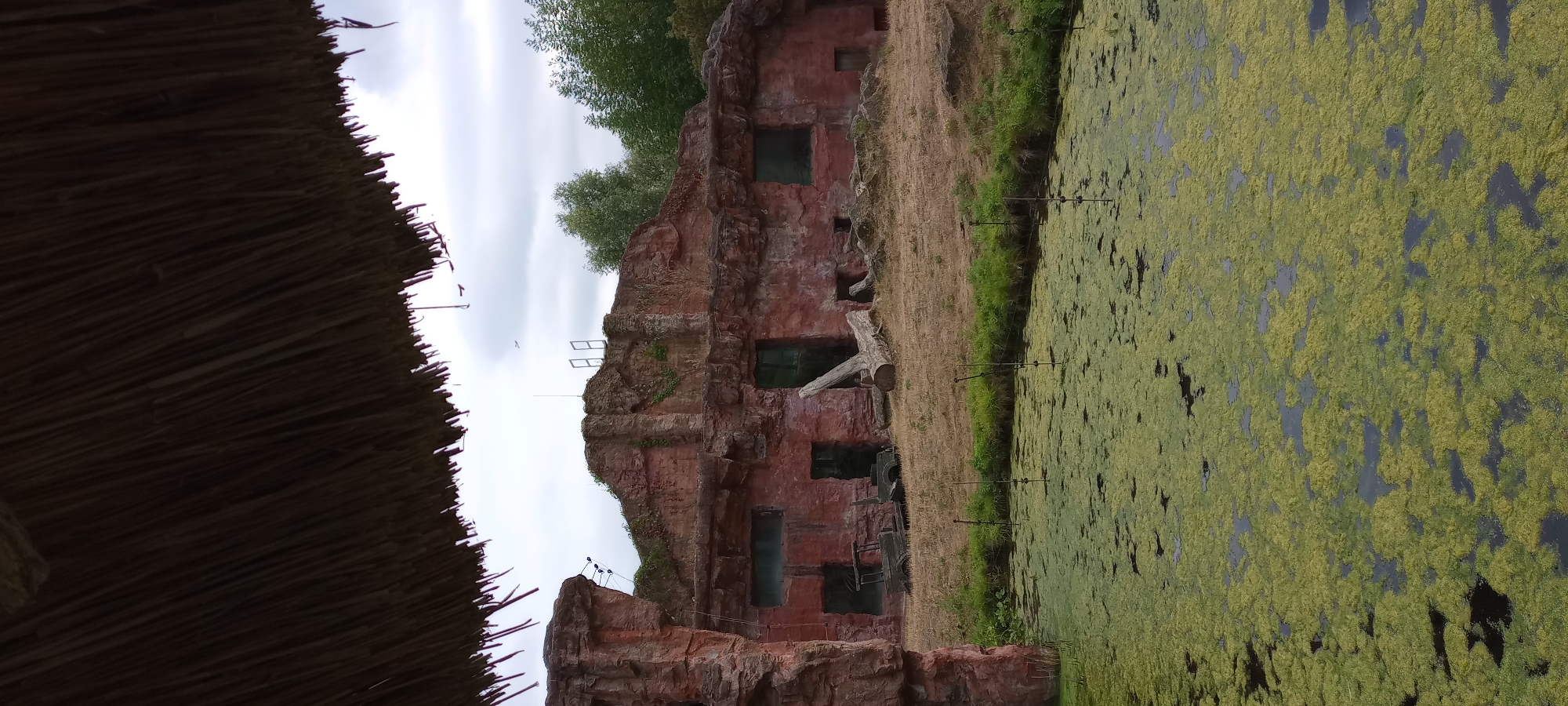 The image captures an outdoor enclosure, likely a zoo exhibit, with a focus on a rocky, man-made structure designed to resemble a cave or cliff face. In the foreground, a murky pond is covered with thick green algae. The middle ground features a dry, grassy area with some sparse vegetation. Behind this, the red, rocky structure dominates the scene. It has several openings, some of which appear to be windows or entrances. A large, fallen tree trunk lies against the structure, and remnants of a wooden vehicle are visible on the grass. Above the structure, a cloudy sky is visible, with a faint silhouette of an airplane in the distance. The top of the image is partially obscured by a thatched roof or canopy. This scene is located within the ZOOM Erlebniswelt Gelsenkirchen, a zoological garden in Gelsenkirchen, Germany, specifically within the "Alaska" section, designed to house animals such as bears and wolves.