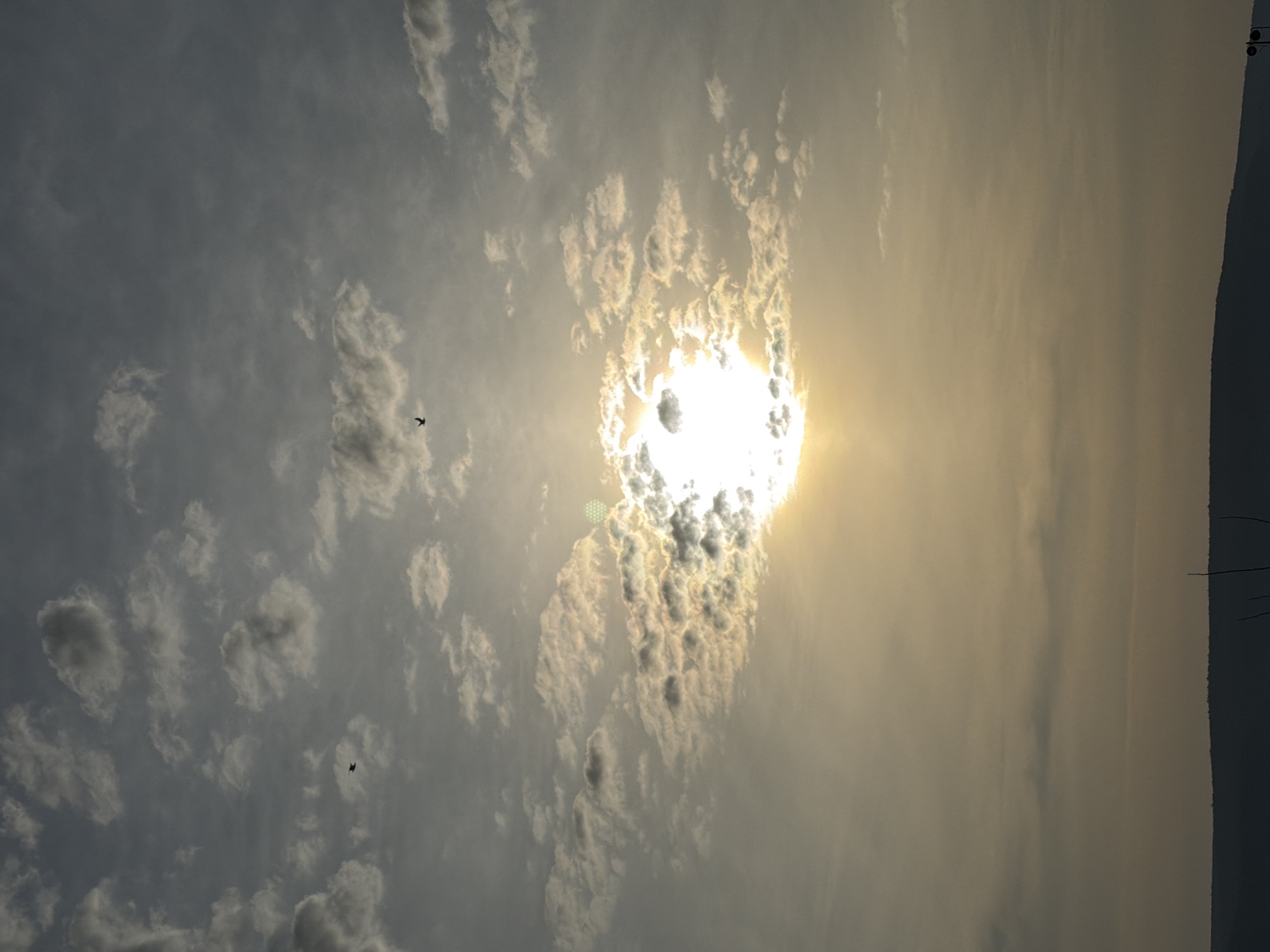 The image depicts a sky scene, likely in Chaikovsky, Russia, given the geographical reference. The sky is filled with clouds, some dense enough to obscure a portion of the sun. The sun is a bright point of light in the center, surrounded by a halo of light. Two birds can be seen flying in the sky. The light from the sun casts a hazy glow over the sky. A dark land form is visible on the right side of the image. The photo appears to be taken during daylight hours.
