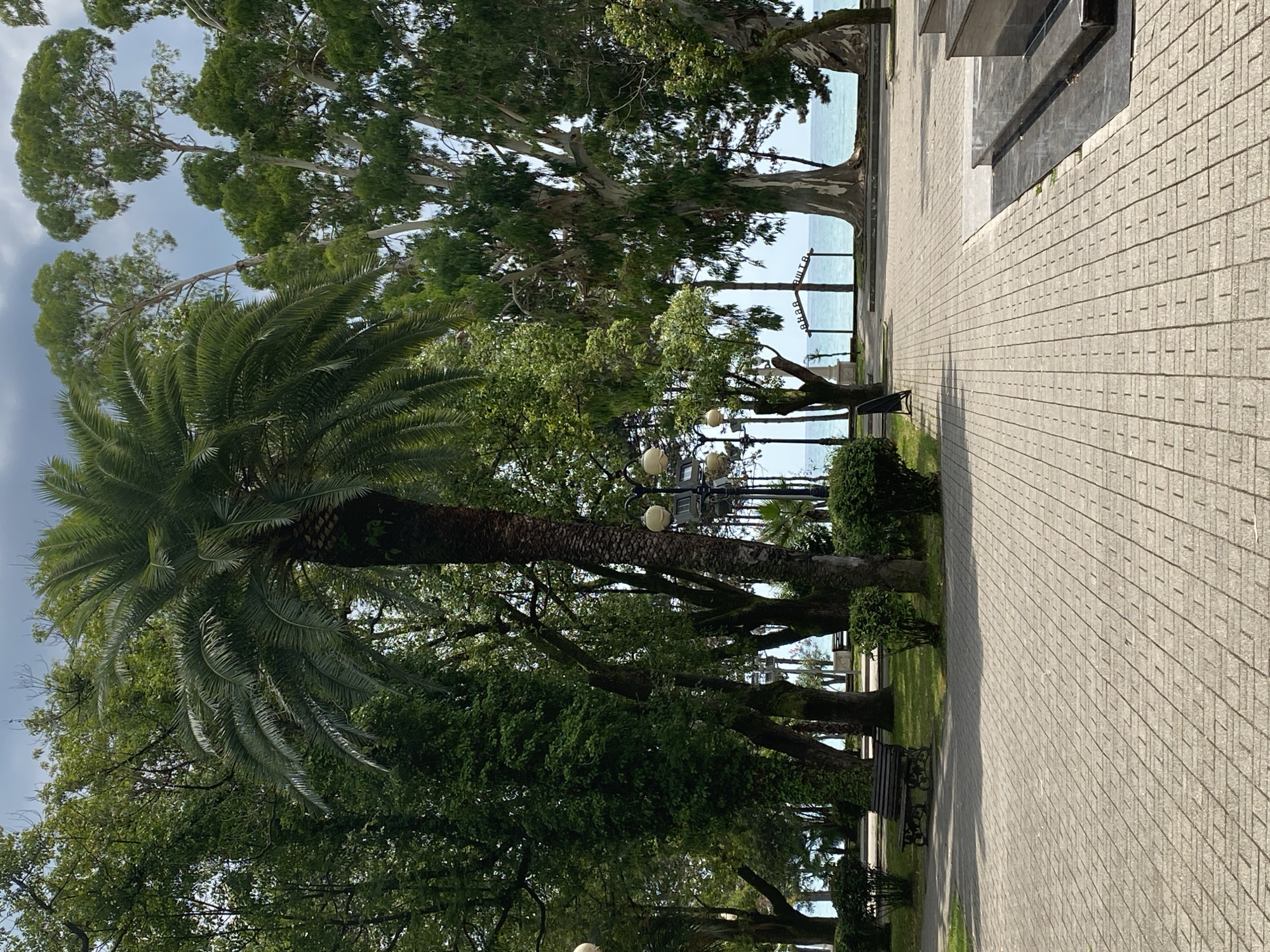 The image captures a view of the seaside promenade in Sokhumi, Abkhazia. In the foreground, a paved walkway with a herringbone pattern leads the eye towards the sea. To the left, a park area features a palm tree, lush green trees, and a park bench. On the right, the promenade continues, with large eucalyptus trees framing the view of the sea. In the distance, a decorative archway with Cyrillic lettering is visible, and beyond that, the calm blue sea meets the horizon under a slightly overcast sky. The overall scene conveys a tranquil atmosphere of a coastal park.