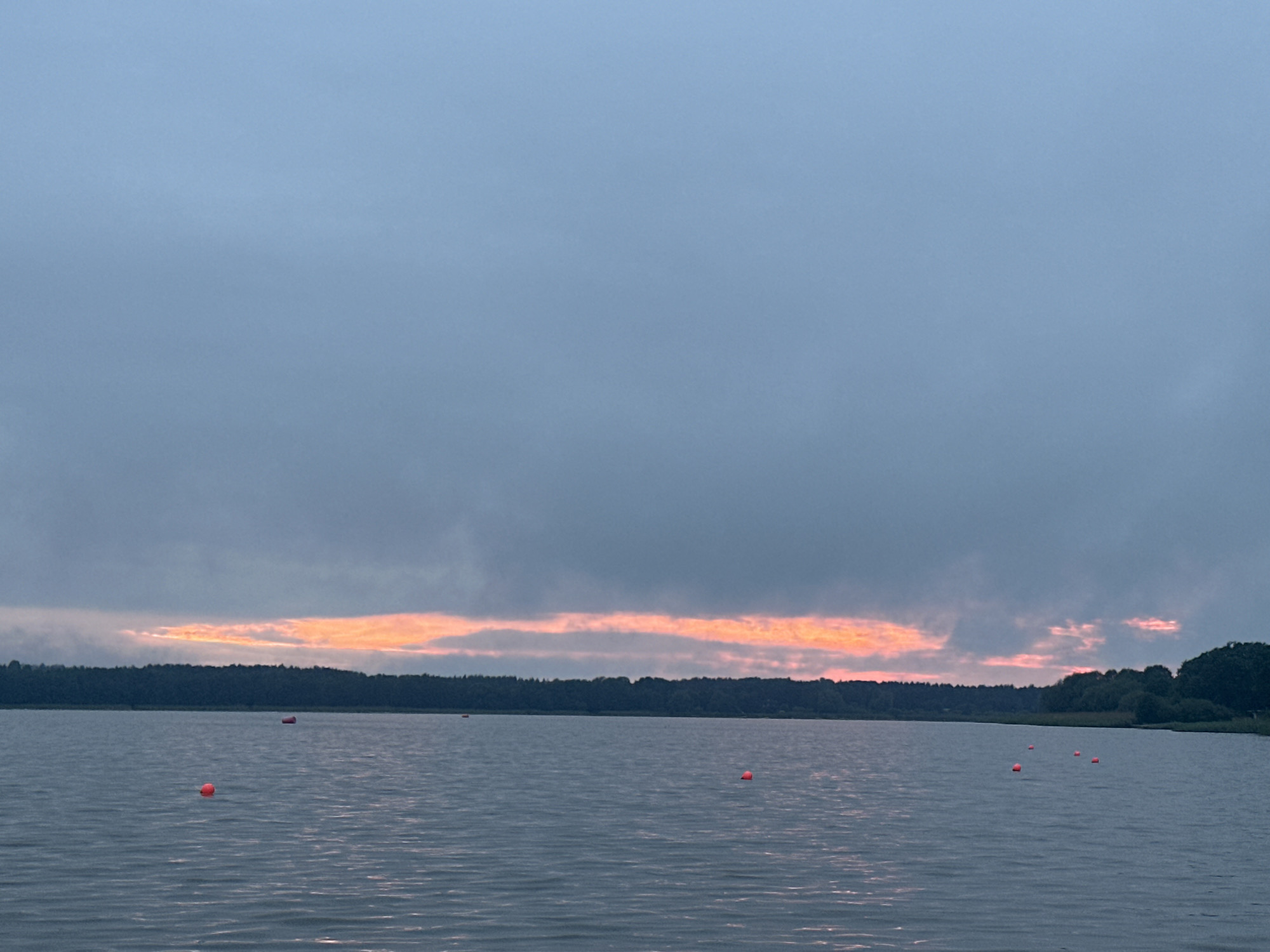 This image captures a serene lake scene at dusk. The sky is overcast with a band of vibrant orange and pink clouds stretching horizontally across the horizon, indicating the setting or rising sun. Below the sky, a dense line of dark trees forms the distant shoreline. The lake's surface is calm, reflecting the muted colors of the sky, with gentle ripples disturbing the water. Several bright orange buoys are scattered across the lake, suggesting a marked area or a mooring point. The overall atmosphere is tranquil and peaceful. This scene is likely a body of water within or near Tallinn, Estonia, such as Lake Harku or Lake Ülemiste, common recreational areas enjoyed by locals and visitors.