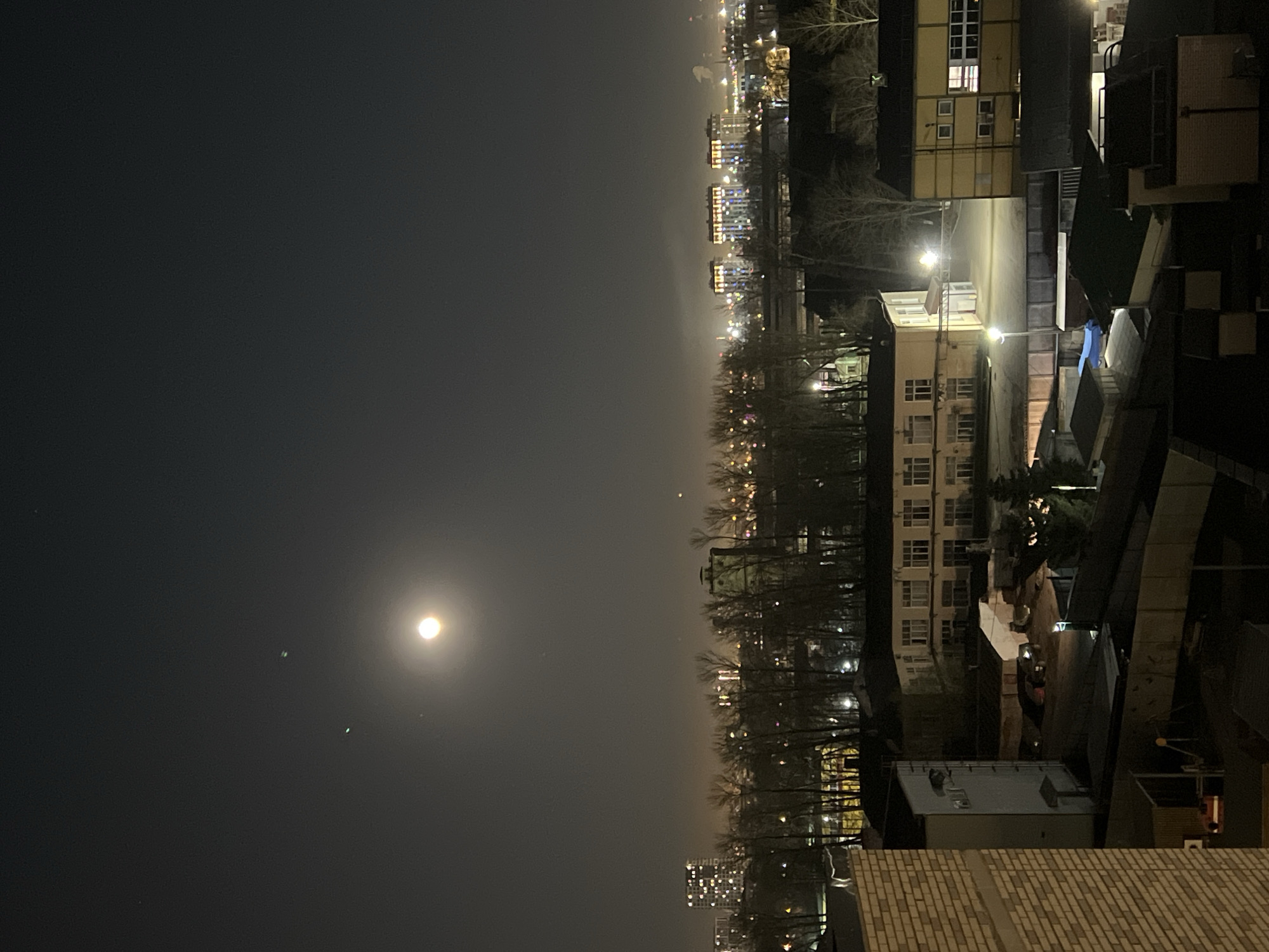 The image shows a nighttime cityscape, likely in Saint Petersburg, Russia, given the typical urban planning. The image is oriented vertically. The sky is dark with a visible moon on the left. City lights illuminate the skyline in the distance. The cityscape includes apartment buildings and structures with visible windows. The foreground shows rooftops and trees. The photograph appears to be taken from an elevated position, possibly a higher-floor apartment or building. The street lighting is visible along with the general city illumination.