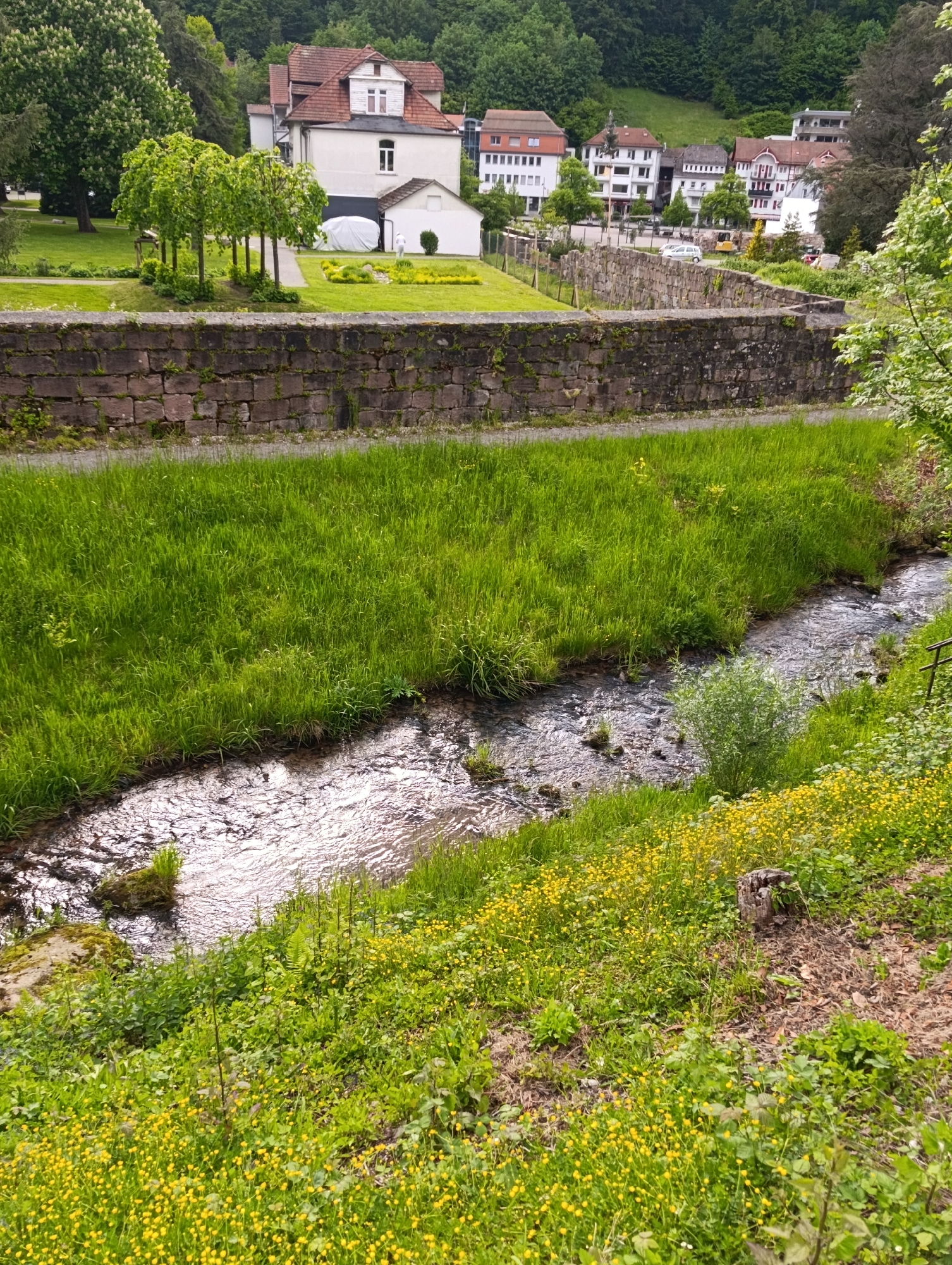 The image depicts a scene in an unidentified urban location. A small stream flows through a grassy area, bordered by a stone wall and various vegetation. Above the wall, several residential buildings are visible against a backdrop of trees. The immediate foreground is dominated by green grass and patches of yellow flowers.
