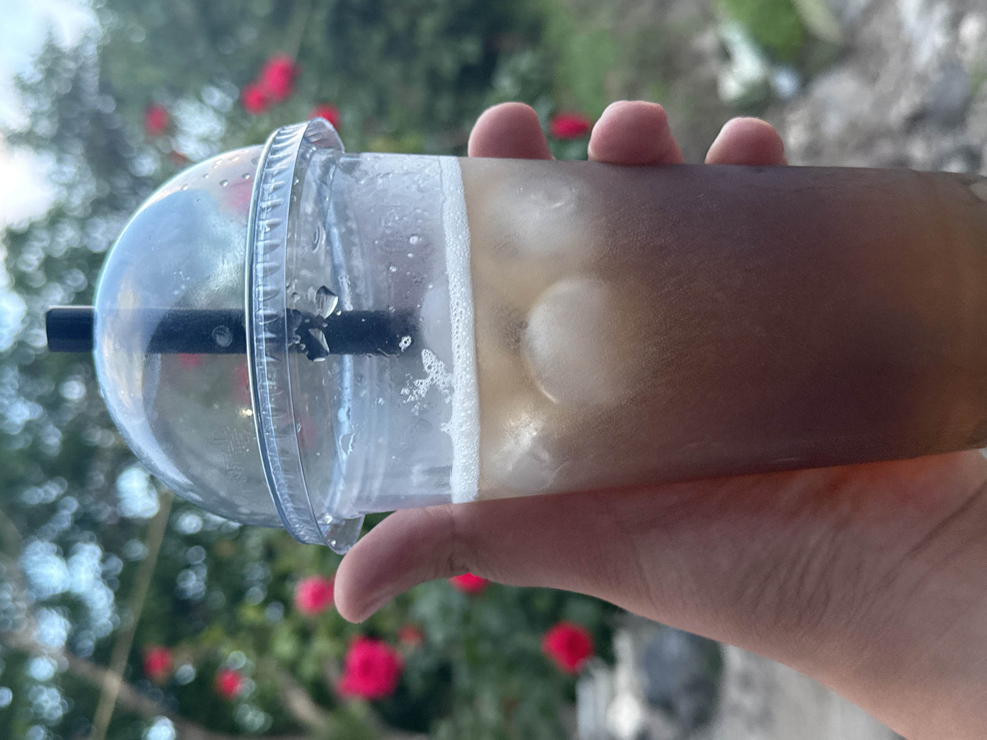 An outdoor, medium shot captures a person's hand holding a clear plastic cup filled with a brown beverage and ice. The cup has a clear, domed lid with a black straw. The background is blurred, showing a vibrant green leafy plant with bright red flowers, suggesting a garden or park setting. The lighting suggests it is daytime.