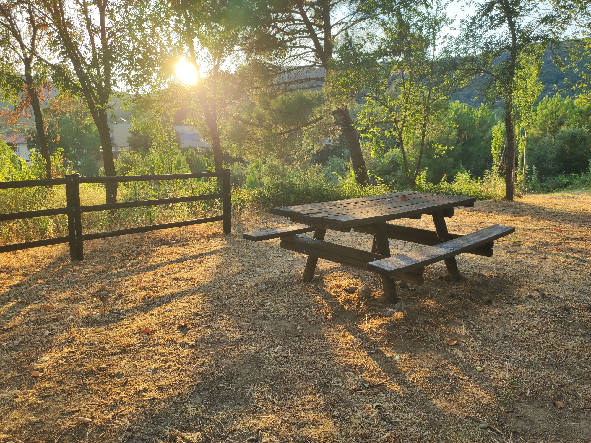 A wooden picnic table with attached benches sits in a clearing of dry grass and pine needles, surrounded by trees. The sun is setting or rising, casting long shadows and illuminating the scene with warm light that filters through the leaves. A wooden fence runs along the left side of the image, separating the clearing from a more densely vegetated area in the background, where buildings can be seen through the trees. The location is identified as Torre de Don Miguel, Spain.