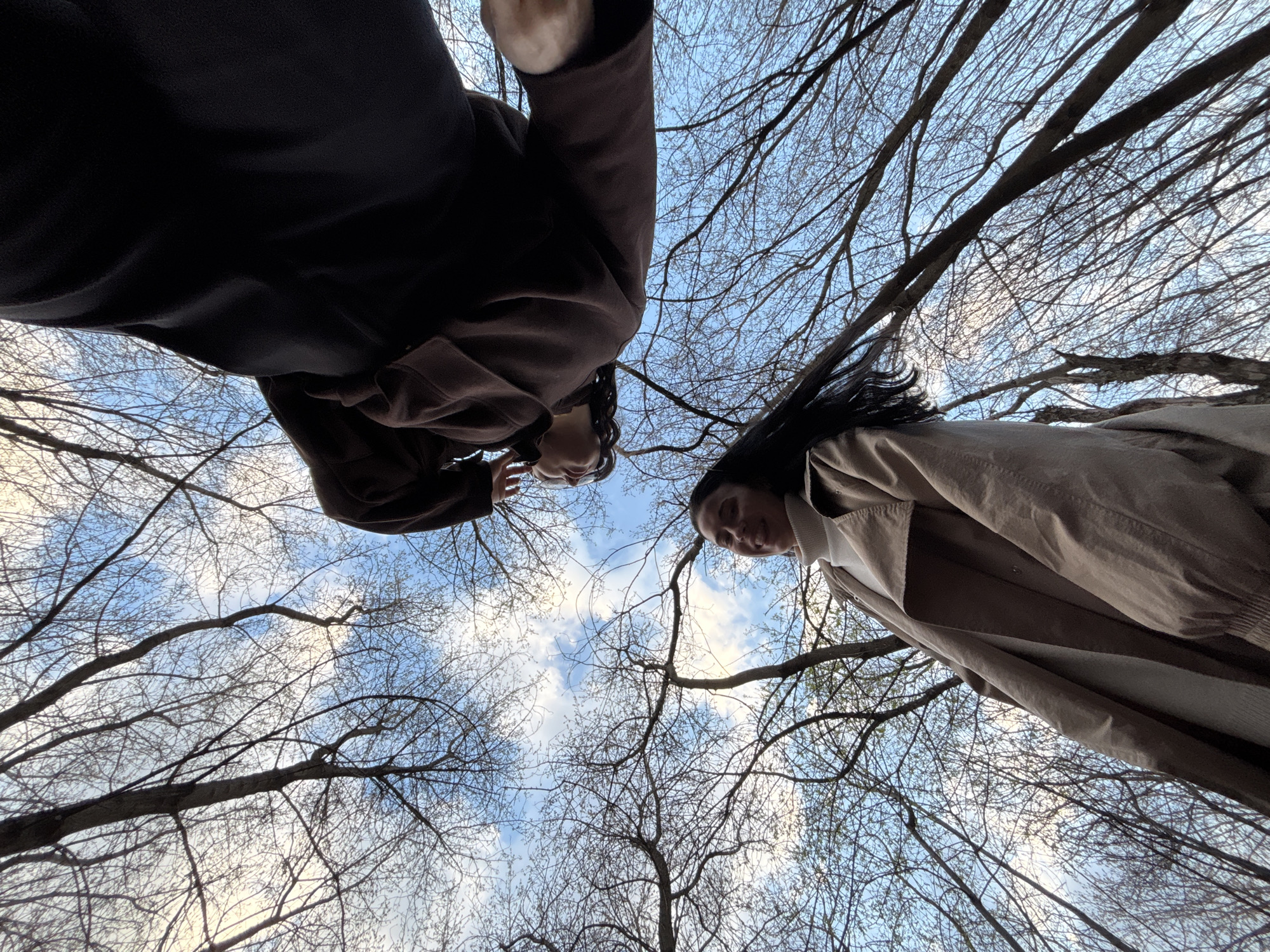 A low-angle shot captures two individuals looking down at the camera, framed by a dense canopy of bare tree branches against a bright, cloudy sky. The perspective is from directly below, emphasizing the intricate network of dark, leafless branches that fill the majority of the frame.
On the left side of the image, a person with dark hair, wearing glasses, and dressed in a dark brown or black coat is visible from the chest up, leaning towards the center. Their hands are slightly raised, and they gaze downwards with a calm expression. On the right, another individual with long dark hair is partially seen, wearing a light brown or beige trench coat and a light-colored top. They also look downwards towards the camera.
The sky is a mix of clear blue patches and soft white, scattered clouds, indicating a daytime setting. The trees are devoid of substantial foliage, with only very nascent buds hinting at the onset of spring. This observation aligns with the provided location context of Perm, Russia, where early spring would feature such bare trees. The overall atmosphere is serene and natural. No specific activity beyond posing for the camera is evident, and no text is visible in the image.