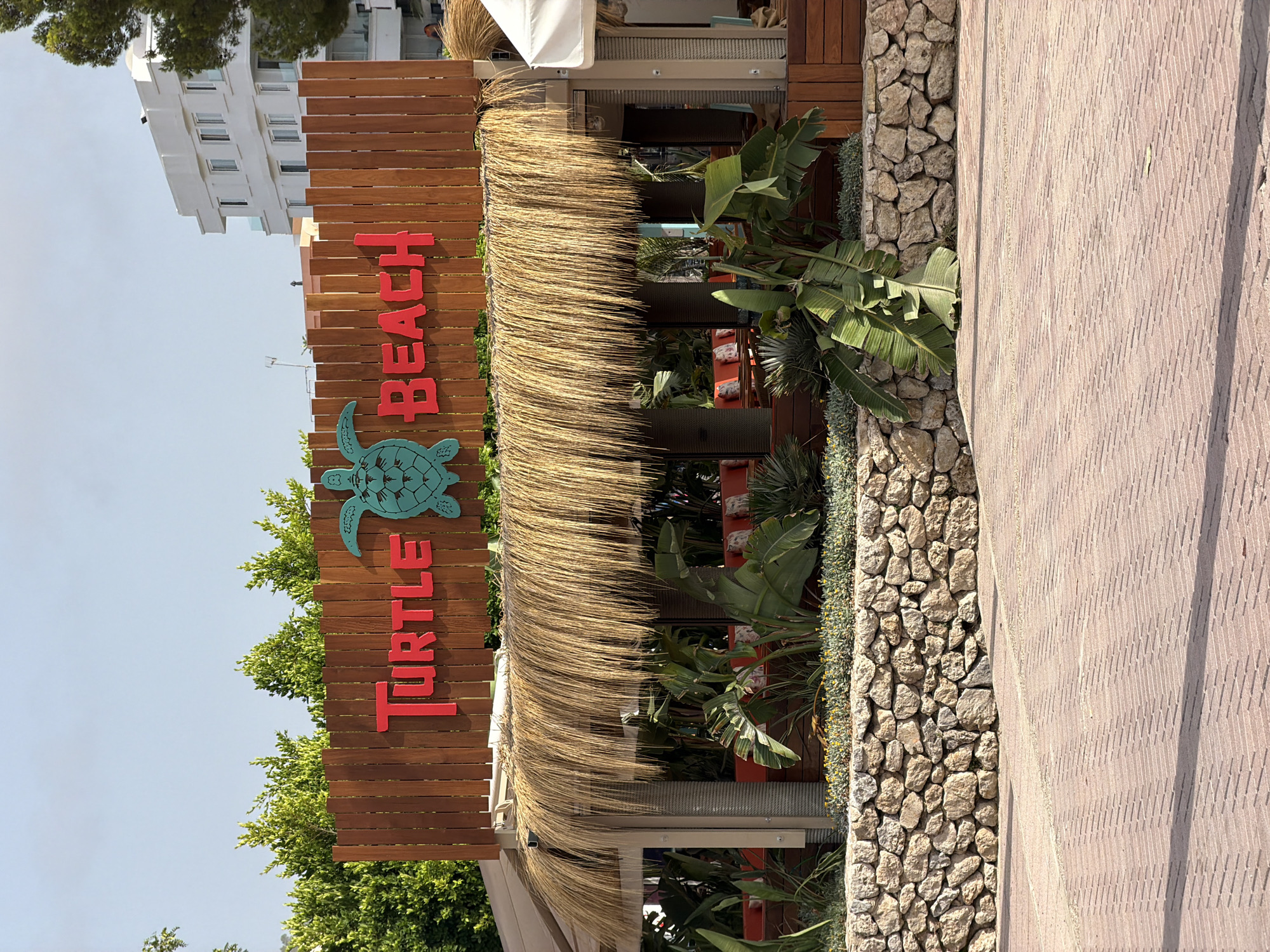 This is a medium shot of the exterior of a beachside establishment called "Turtle Beach" in Magaluf, Spain. The establishment features a rustic wooden facade with a thatched roof overhang. A prominent sign above the overhang reads "TURTLE BEACH" in large, red, blocky letters, with a stylized turquoise turtle icon placed between the words. Lush green foliage, including large-leafed plants and smaller flowering plants, are visible behind a low, rough-hewn stone wall in front of the building. The ground in the foreground is paved with reddish-brown brickwork laid in a chevron pattern. In the background, a modern, multi-story white building with balconies stands against a clear blue sky. The overall impression is a tropical-themed beachside venue.